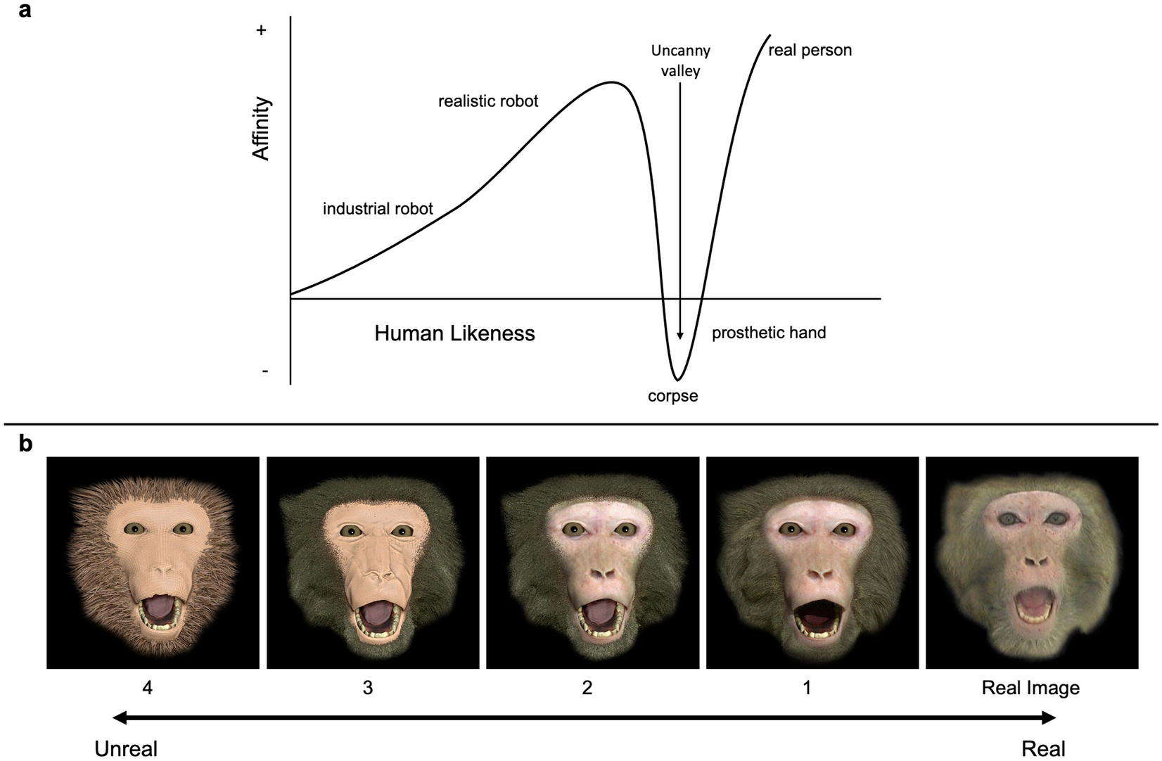 Monkey visual attention does not fall into the uncanny valley | Scientific  Reports