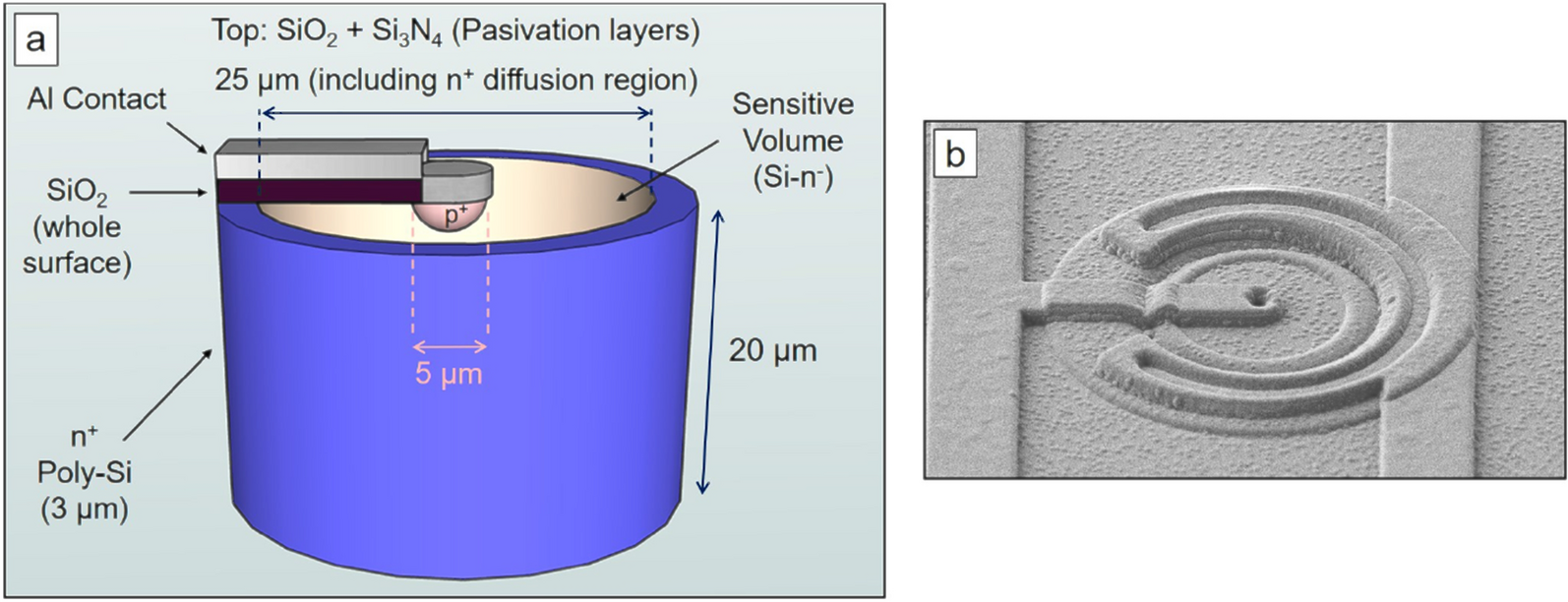 Microdosimetry performance of the first multi-arrays of 3D-cylindrical  microdetectors | Scientific Reports