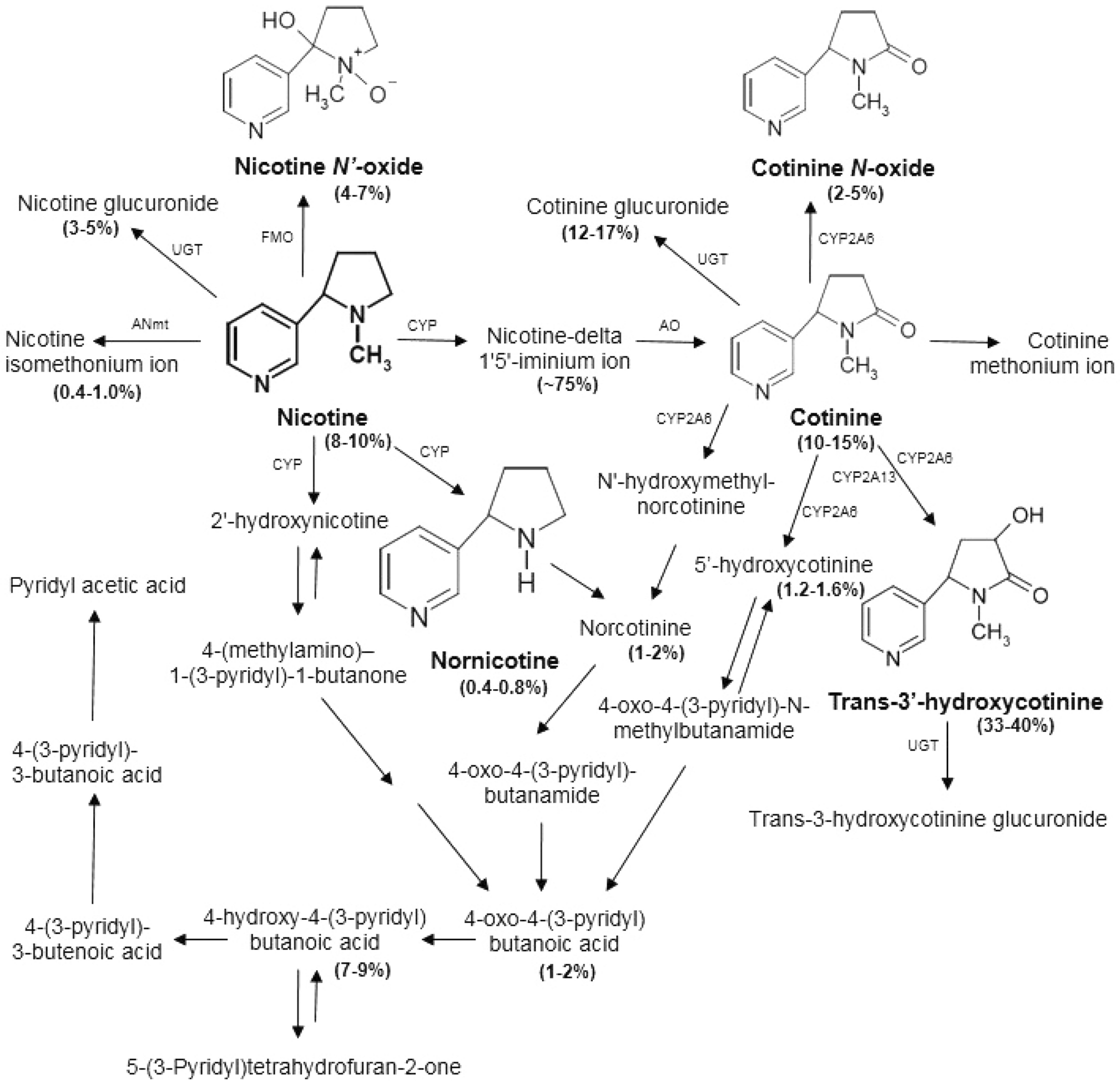 all side effects of smoking cigarettes File:Adverse effects of tobacco smoking.png all side effects of smoking cigarettes File:Adverse effects of tobacco smoking.png