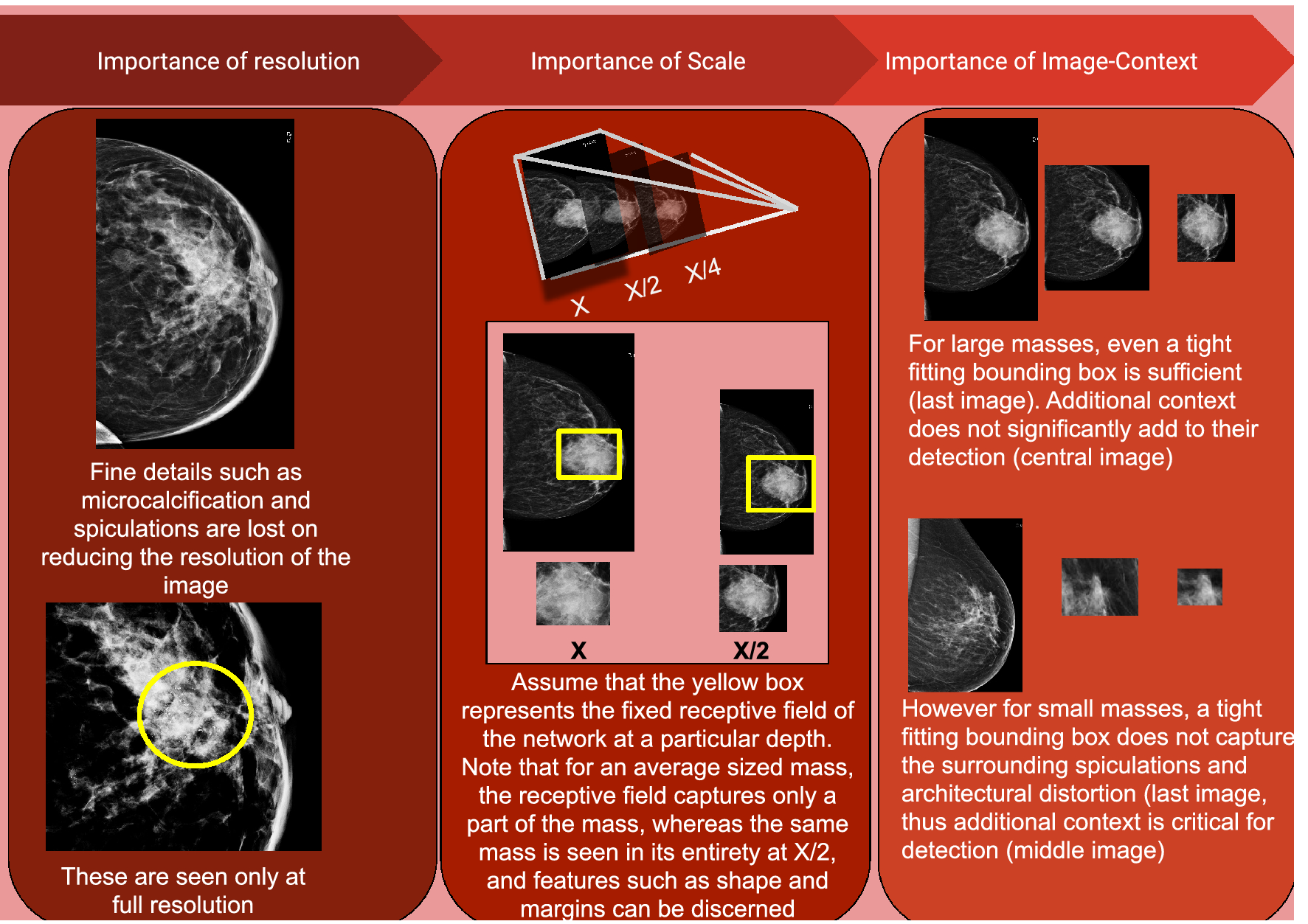Ultra-high resolution, multi-scale, context-aware approach for detection of  small cancers on mammography | Scientific Reports