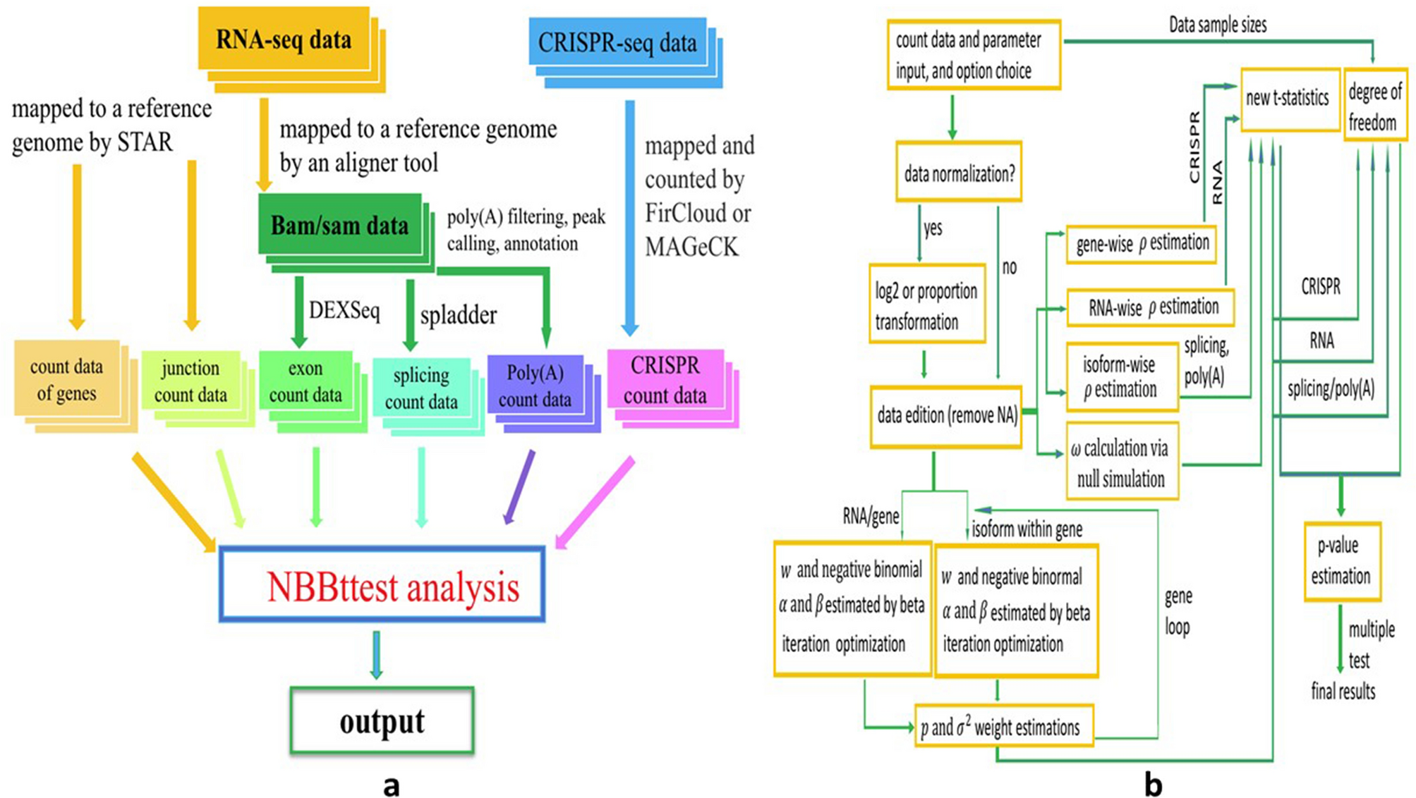 Figure 11