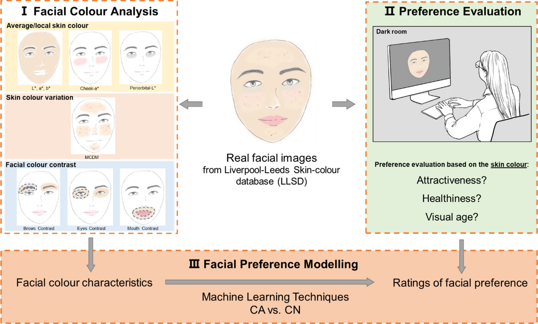 Different colour predictions of facial preference by Caucasian and Chinese observers Scientific Reports
