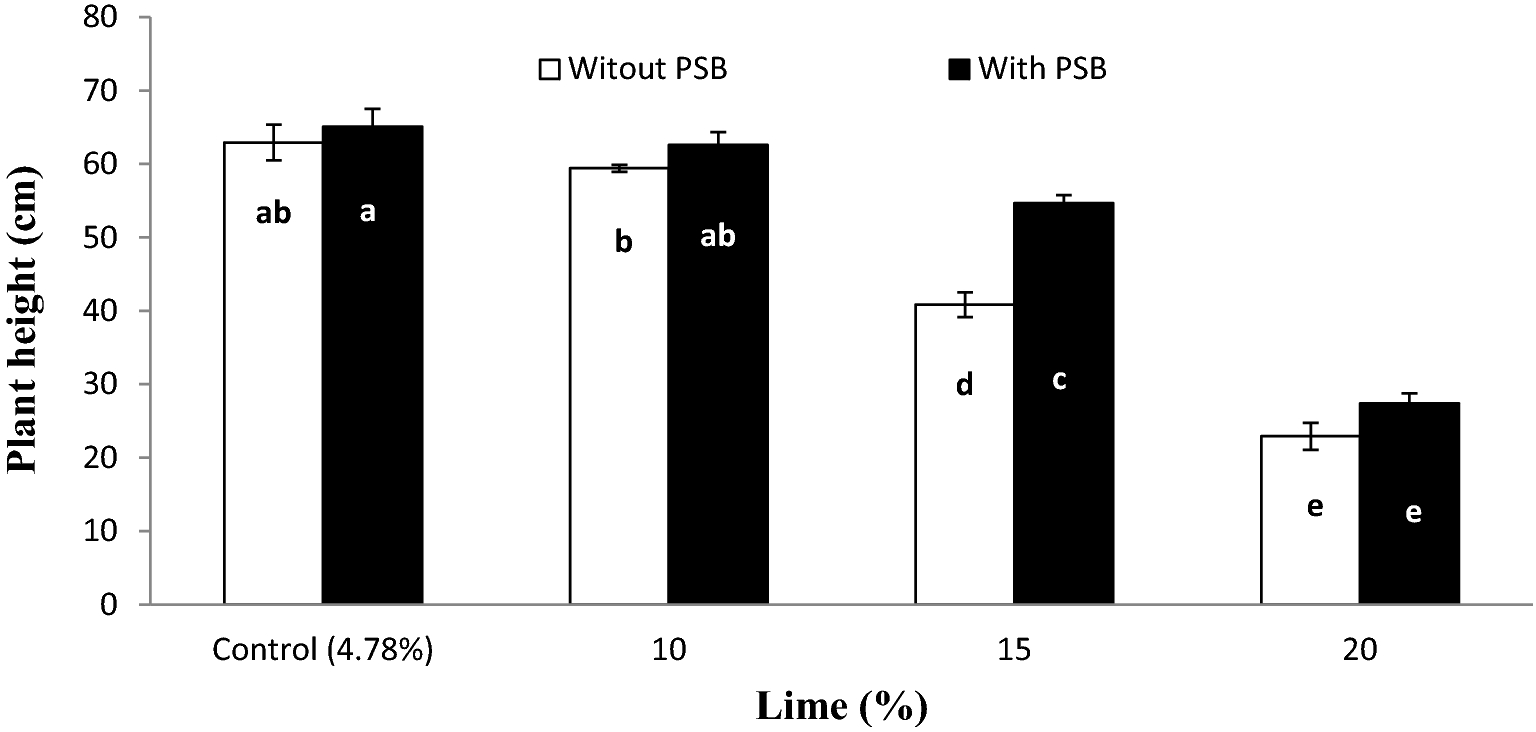Comparative efficacy of phosphorous supplements with phosphate solubilizing  bacteria for optimizing wheat yield in calcareous soils | Scientific Reports