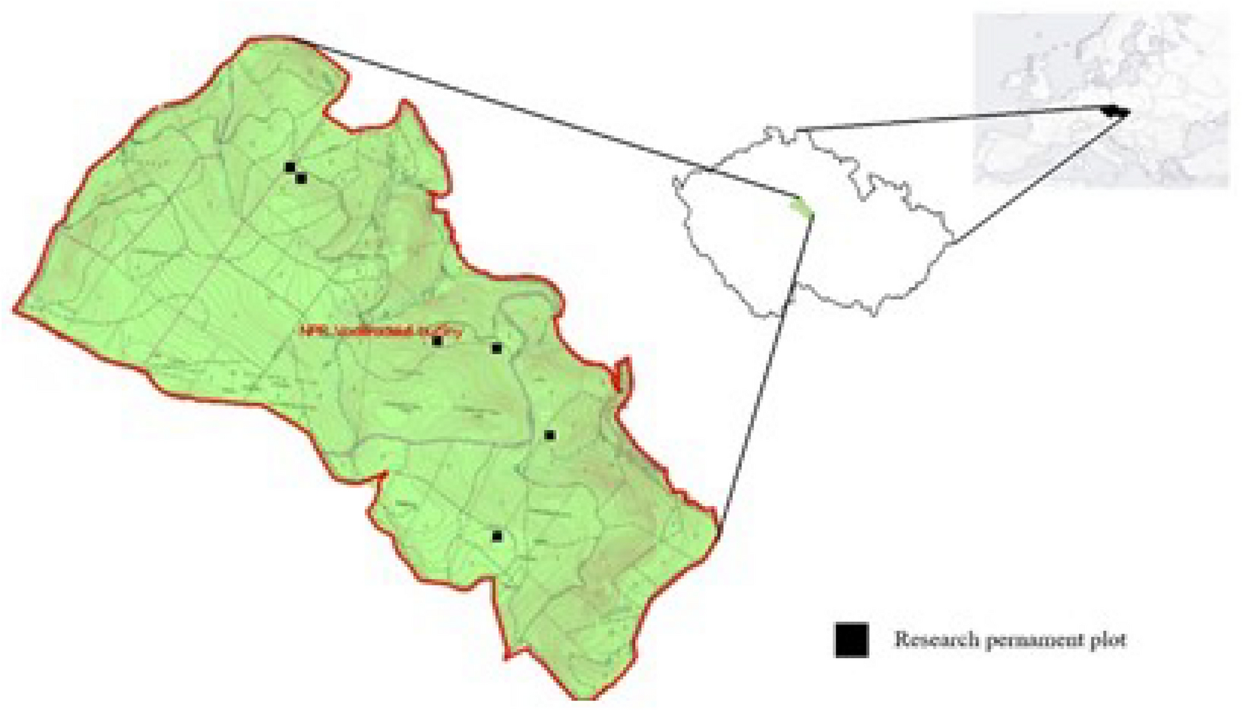 Small-scale spontaneous dynamics in temperate beech stands as an importance  driver for beetle species richness | Scientific Reports