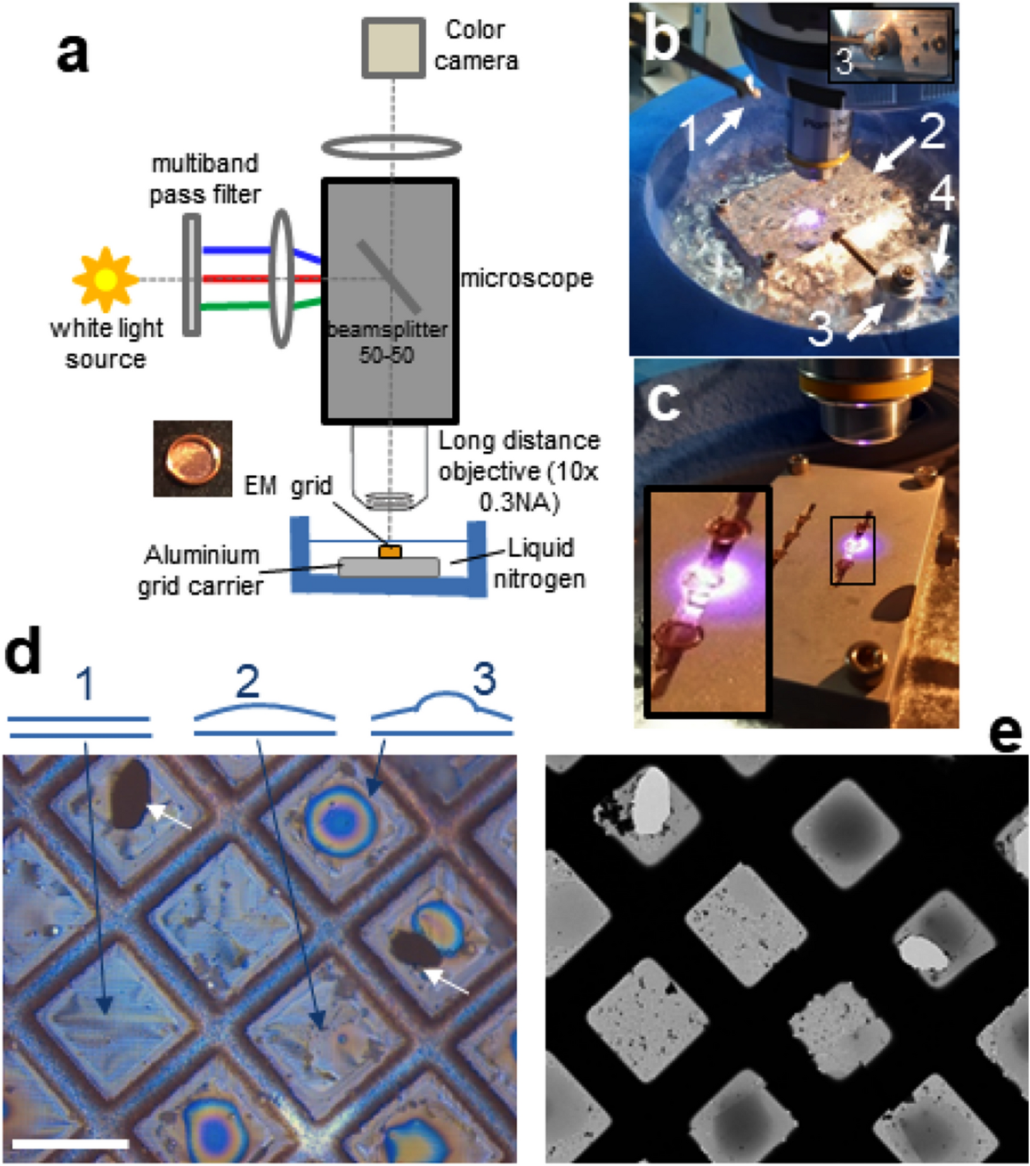 Ice thickness monitoring for cryo-EM grids by interferometry