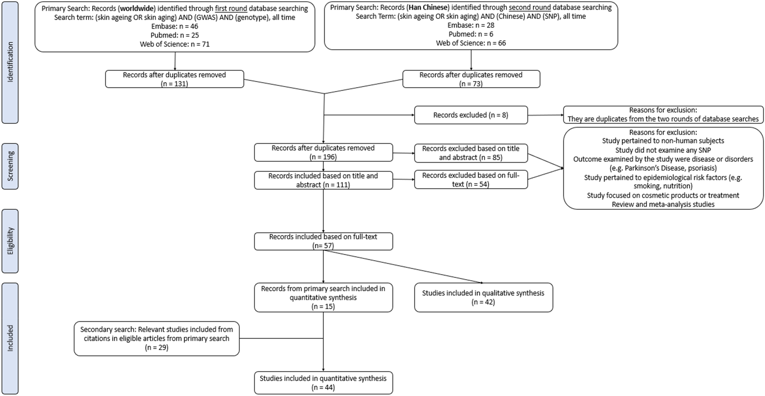 A systematic review of skin ageing genes: gene pleiotropy and genes on the  chromosomal band 16q24.3 may drive skin ageing | Scientific Reports