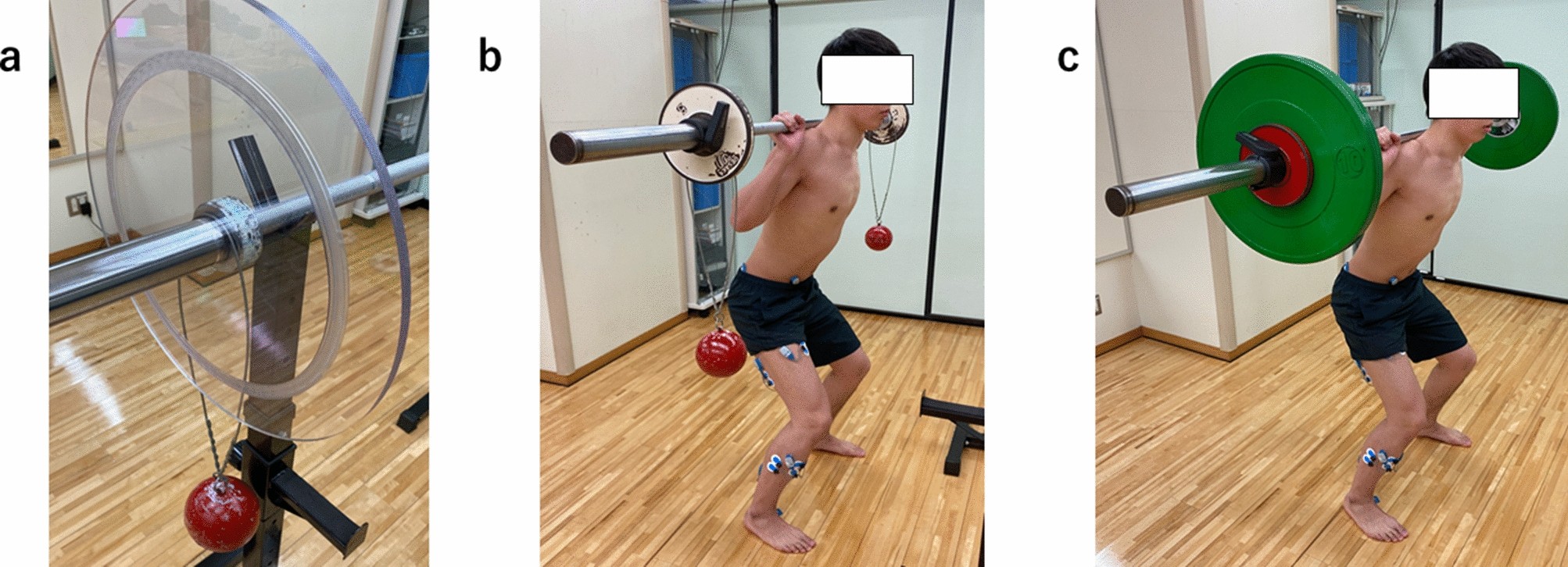 Differences in trunk and lower extremity muscle activity during squatting  exercise with and without hammer swing