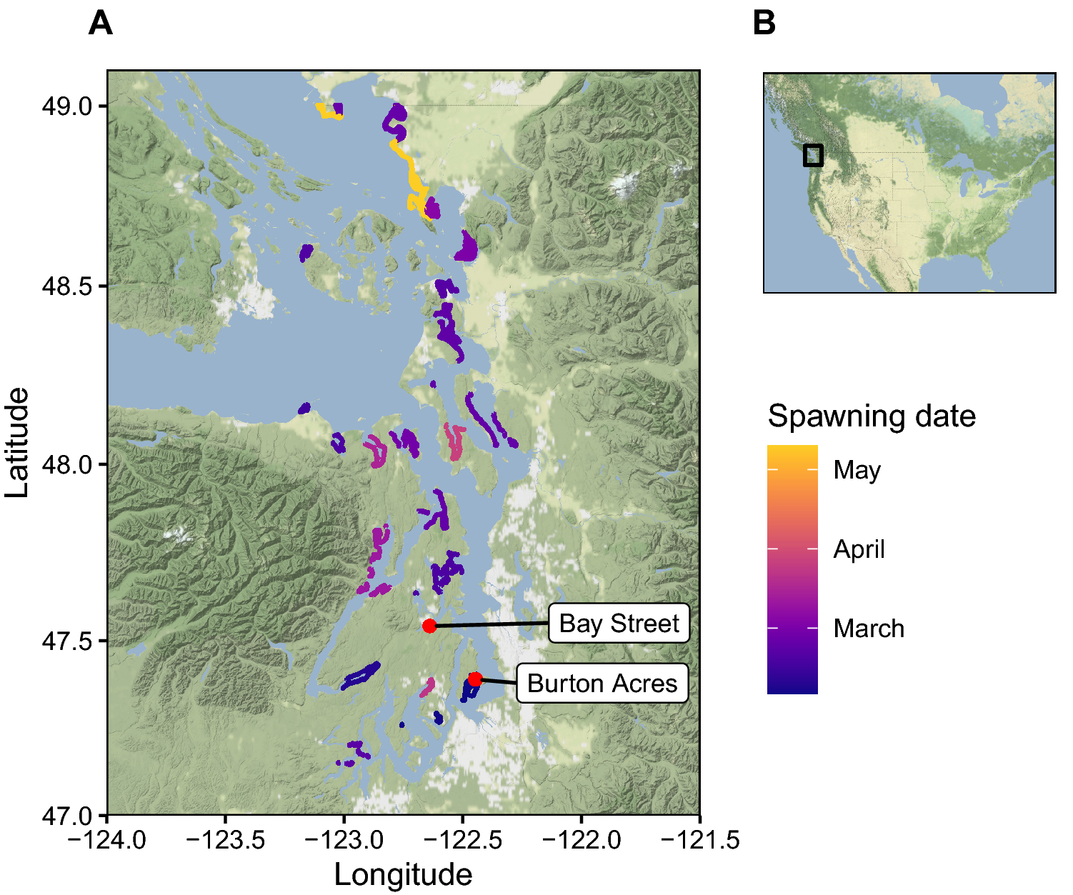 Ancient DNA reveals phenological diversity of Coast Salish herring harvests  over multiple centuries | Scientific Reports