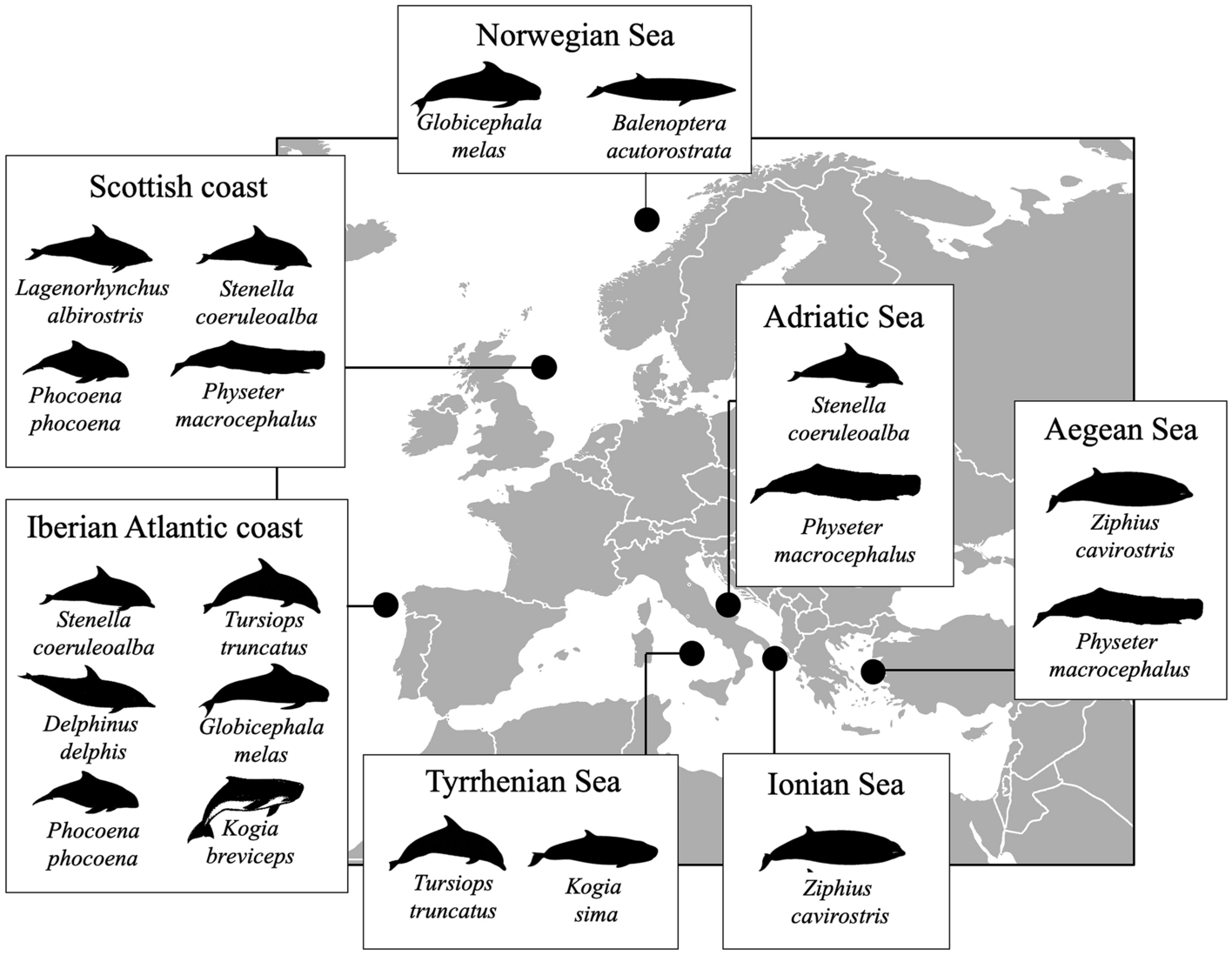 kart som viser hvalstrandingene