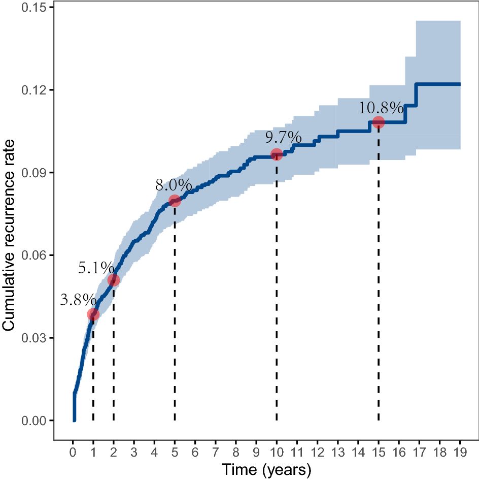 Kaplan-Meier curves showing the cumulative incidence of recurrence.