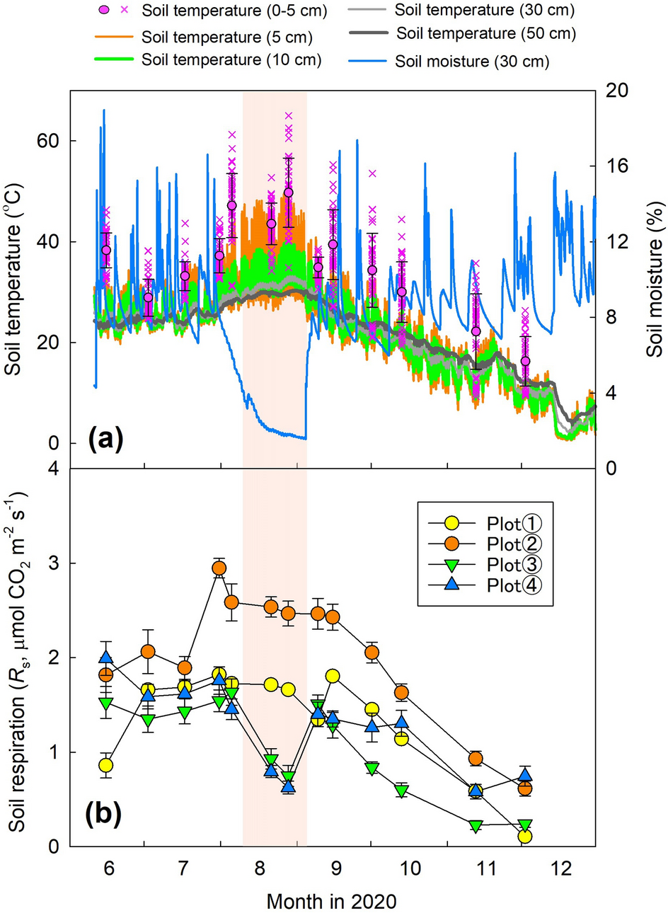 Abiotic and biotic factors controlling the dynamics of soil respiration in  a coastal dune ecosystem in western Japan | Scientific Reports