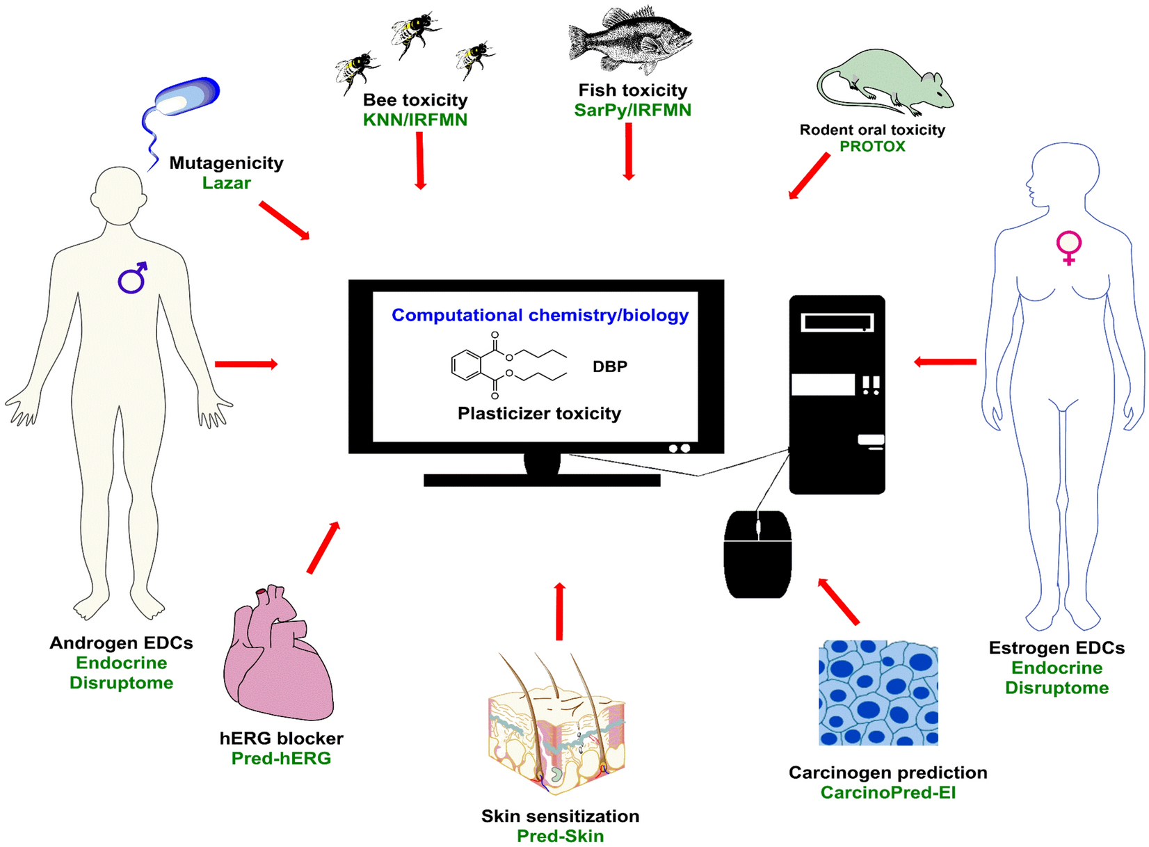 Artificial Intelligence-Based Toxicity Prediction of Environmental