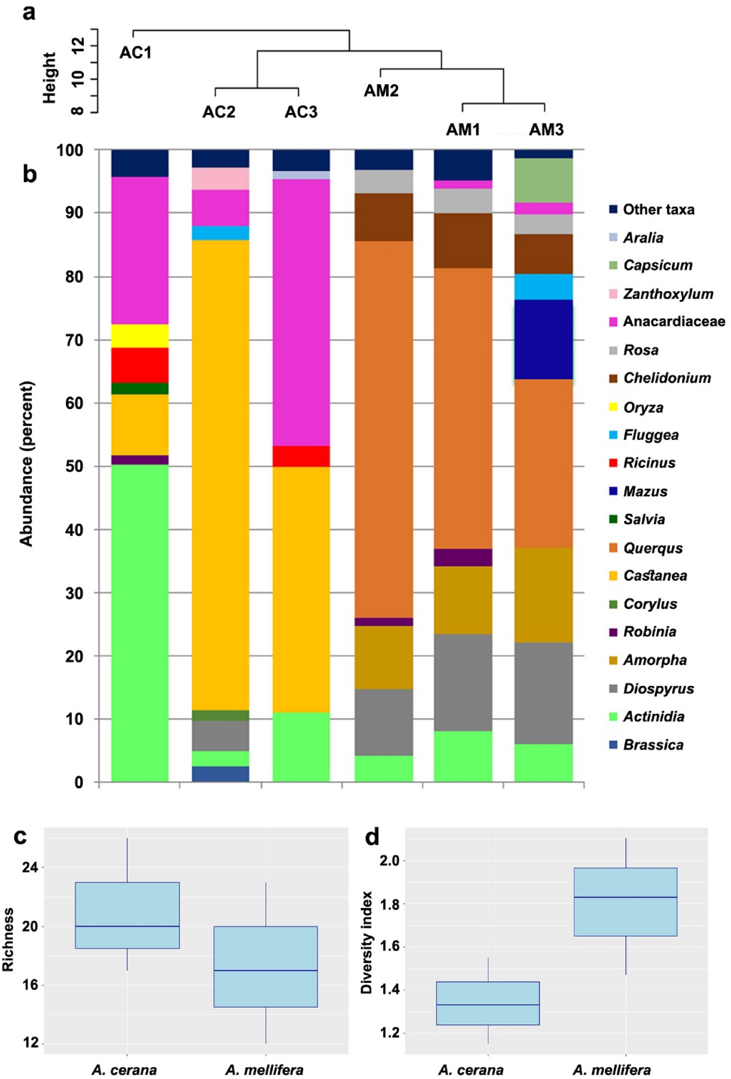 Honey DNA metabarcoding revealed foraging resource partitioning between  Korean native and introduced honey bees (Hymenoptera: Apidae) | Scientific  Reports