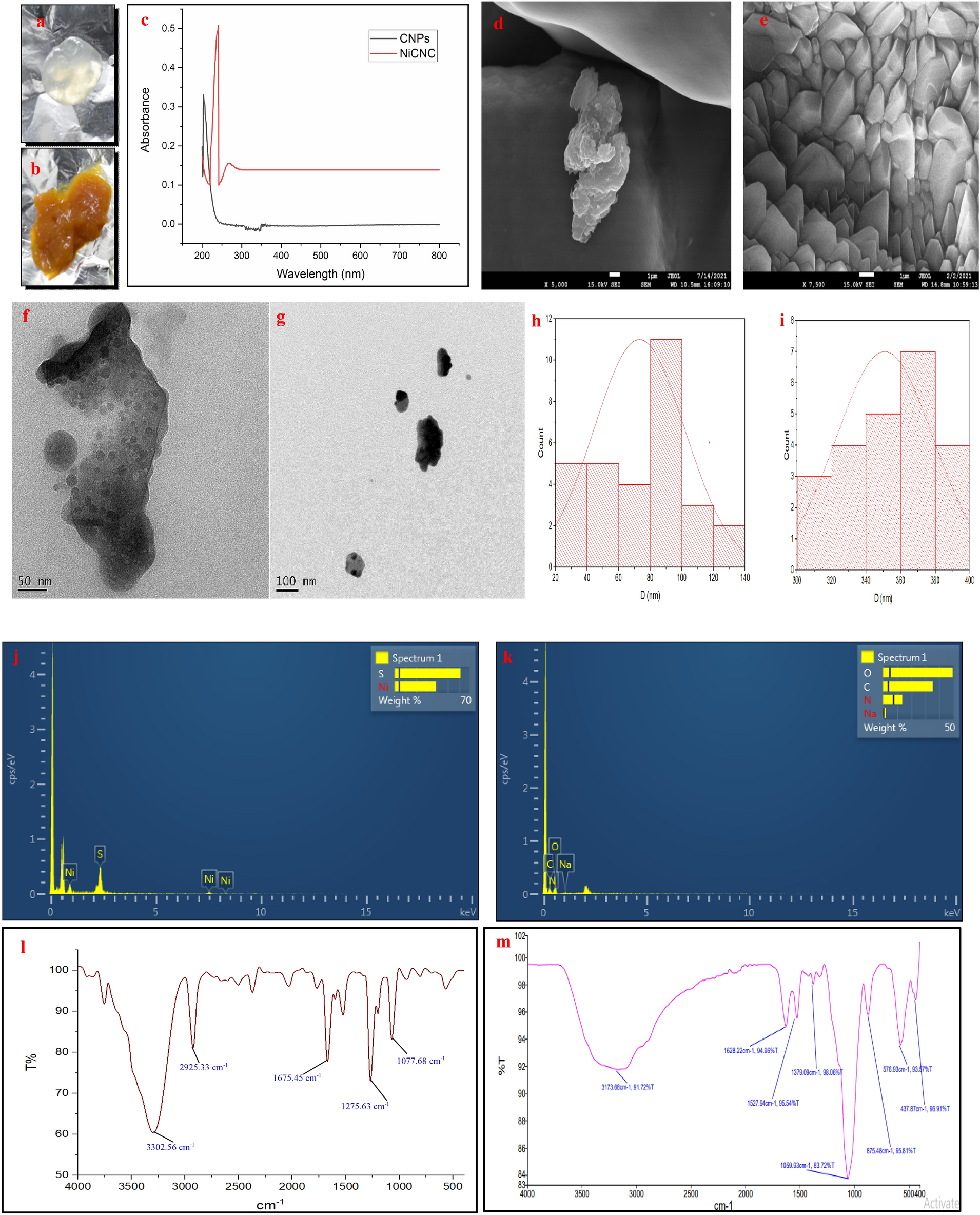 Application of nickel chitosan nanoconjugate as an antifungal agent for  combating Fusarium rot of wheat | Scientific Reports