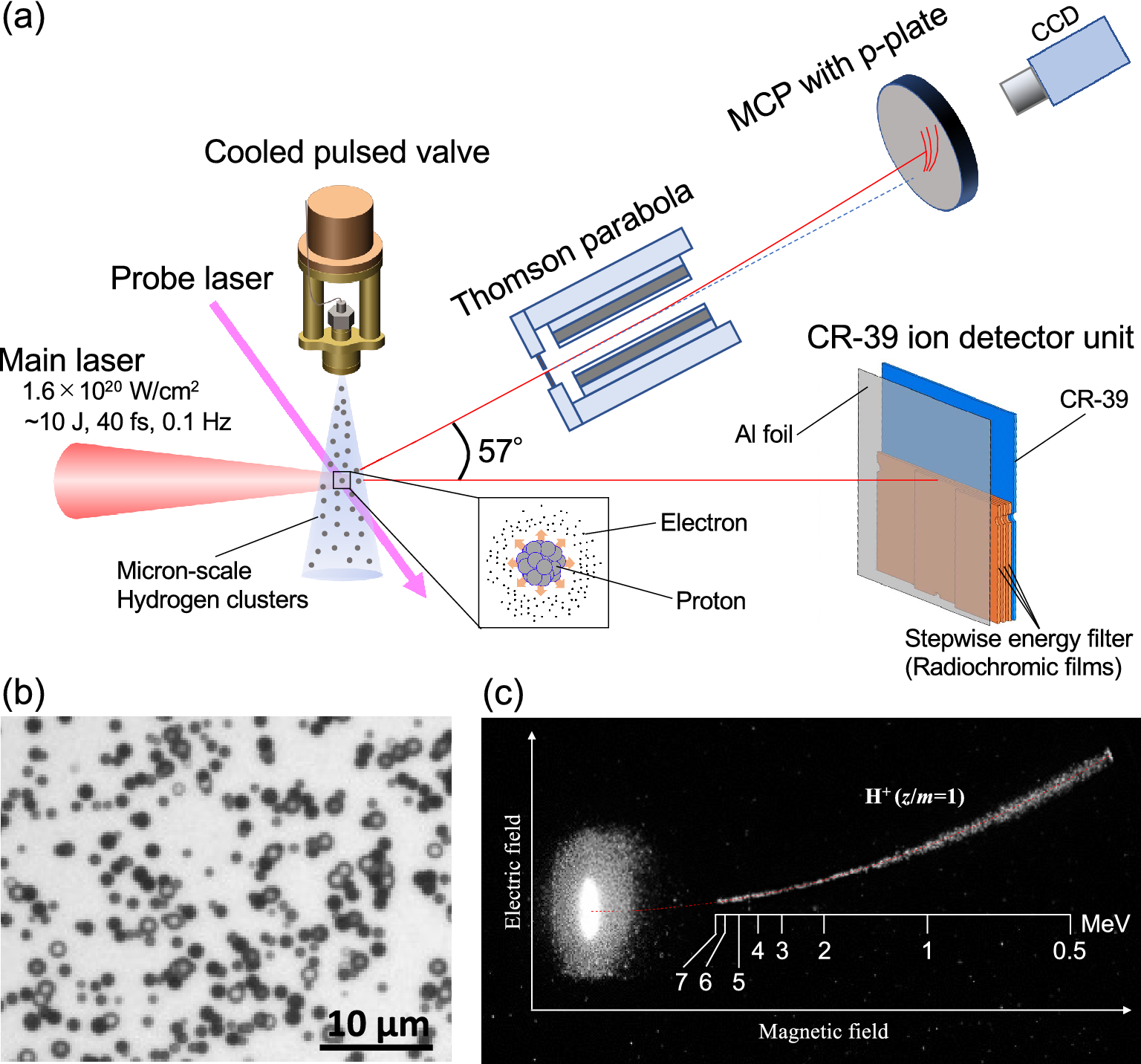 Laser-driven multi-MeV high-purity proton acceleration via anisotropic  ambipolar expansion of micron-scale hydrogen clusters