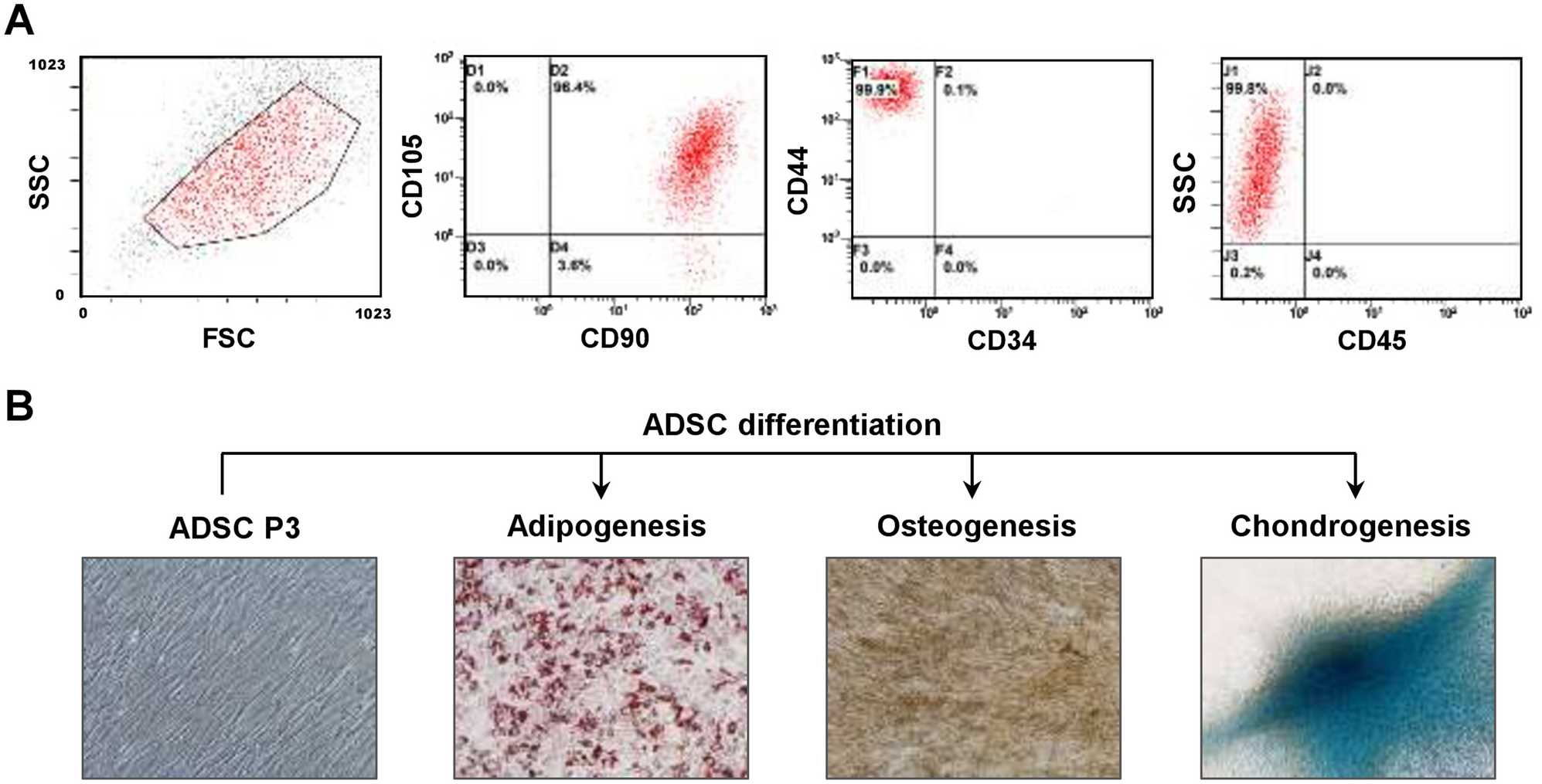 Cancer-associated adipocytes: emerging supporters in breast cancer, Journal of Experimental & Clinical Cancer Research