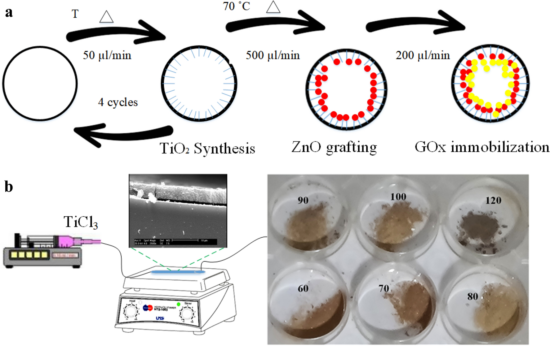Microfluidic assisted low-temperature and speedy synthesis of TiO2/ZnO/GOx  with bio/photo active cites for amoxicillin degradation | Scientific Reports