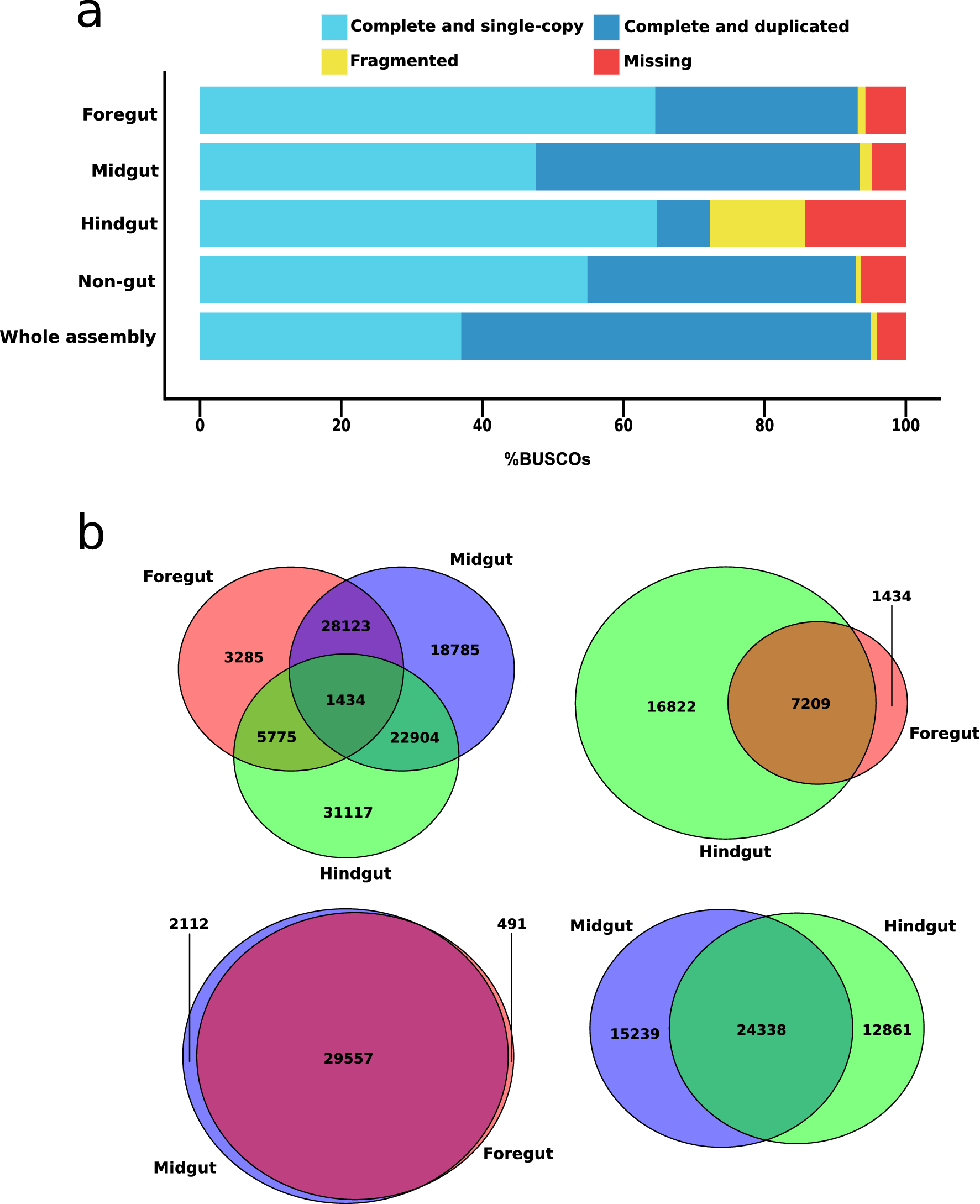 De Novo Metatranscriptomic Exploration Of Gene Function In The Millipede Holobiont Scientific Reports De Novo Metatranscriptomic Exploration Of Gene Function In The Millipede Holobiont Scientific Reports