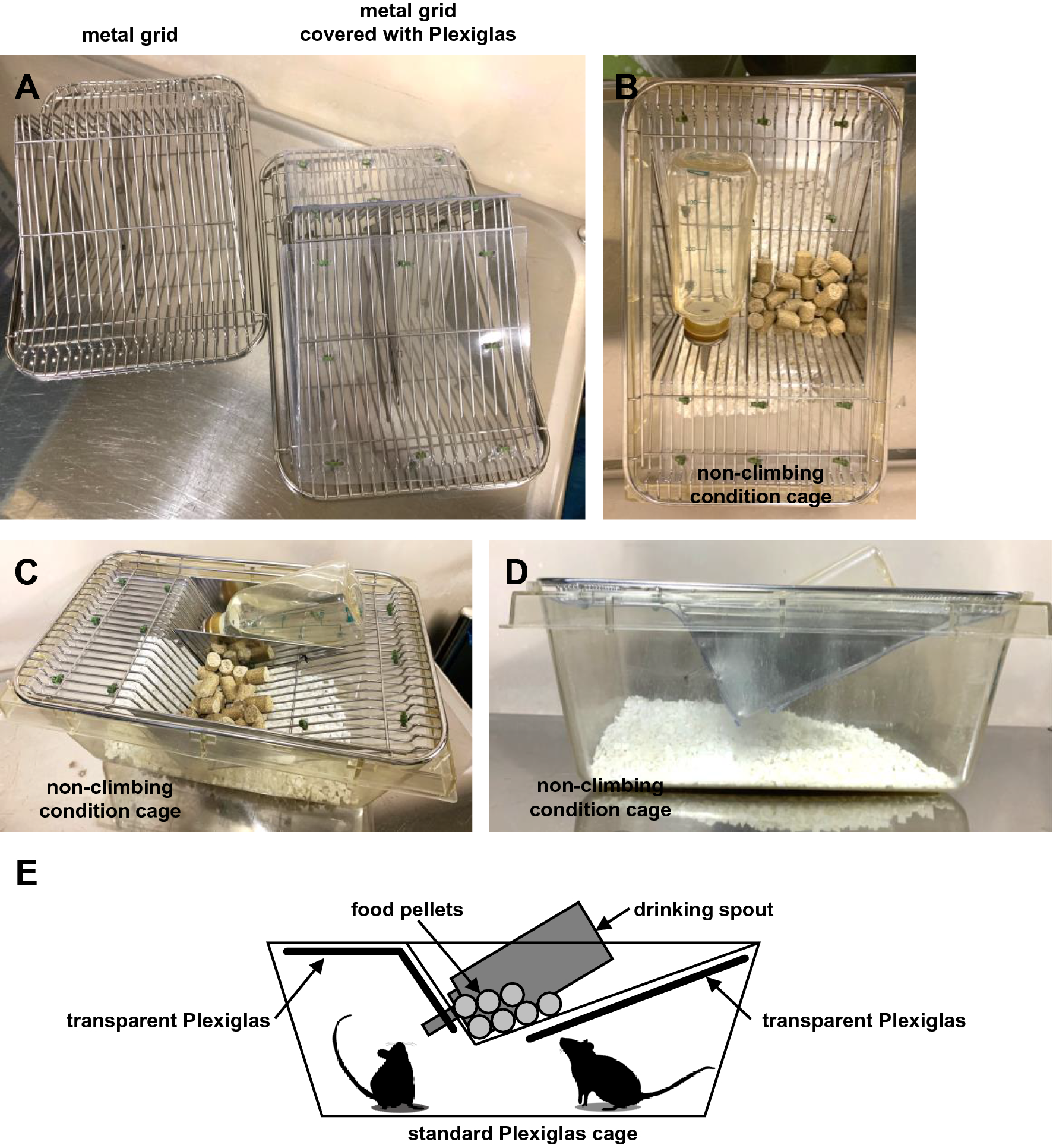 The prevention of home-cage grid climbing affects muscle strength in mice |  Scientific Reports
