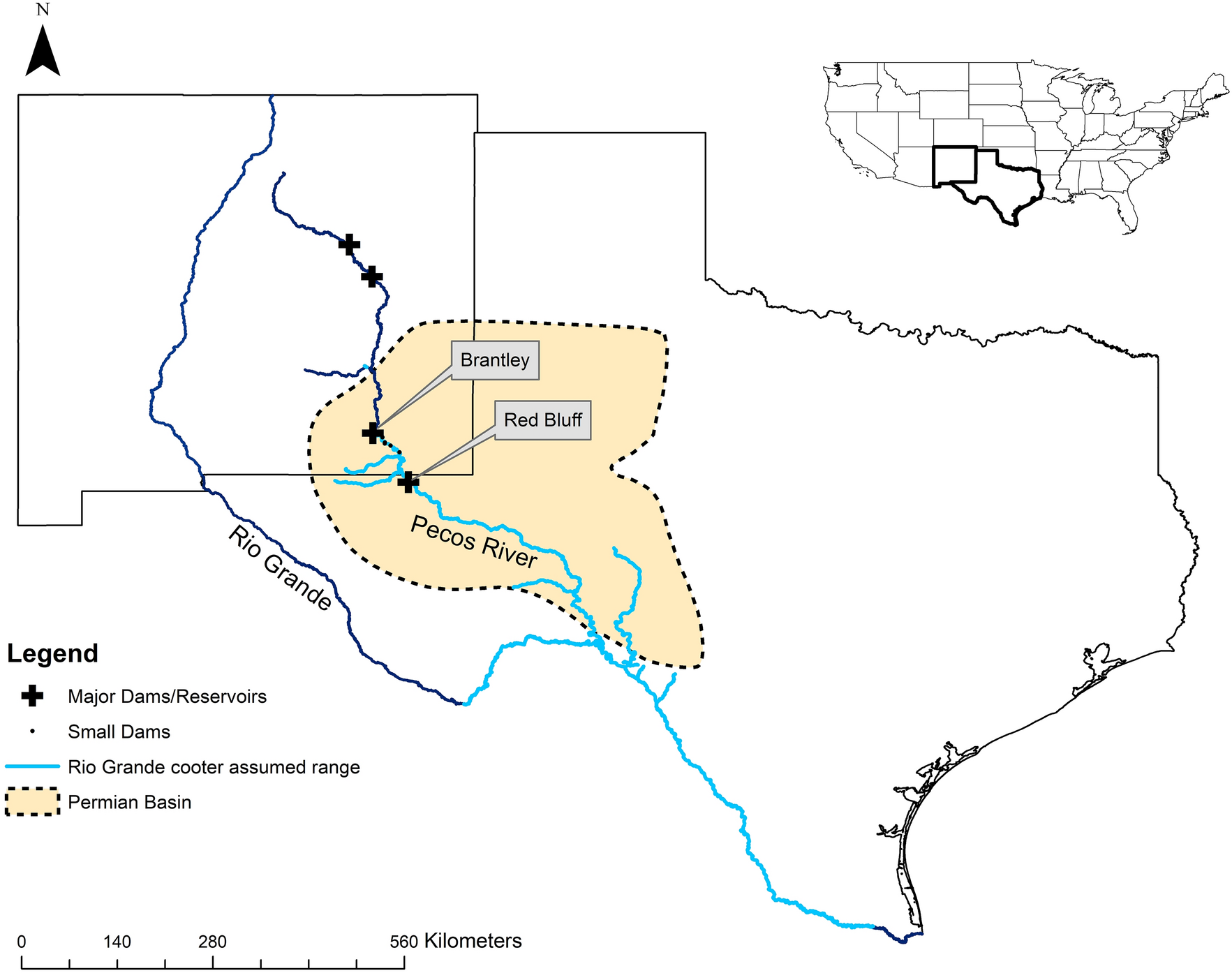 Effects of salinization on the occurrence of a long-lived vertebrate in a  desert river