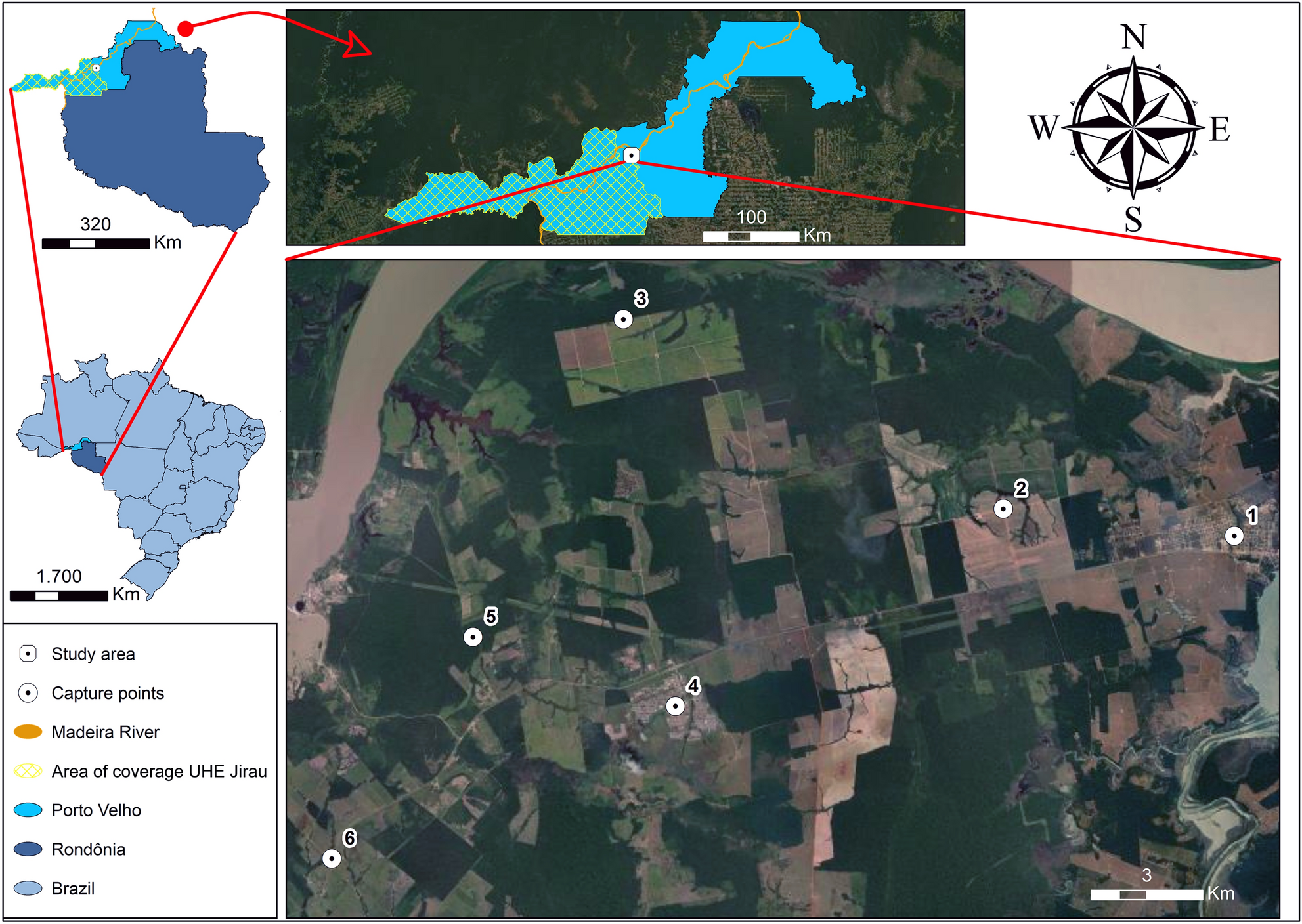 Spatial distribution and interactions between mosquitoes (Diptera:  Culicidae) and climatic factors in the Amazon, with emphasis on the tribe  Mansoniini | Scientific Reports