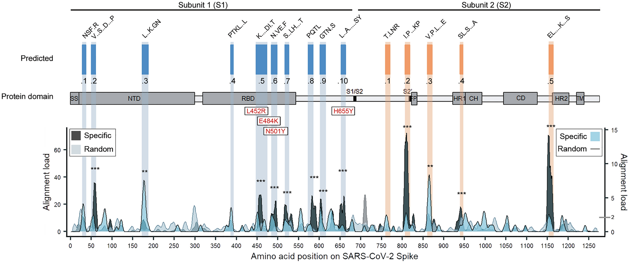 Mapping SARS-CoV-2 antigenic relationships and serological responses