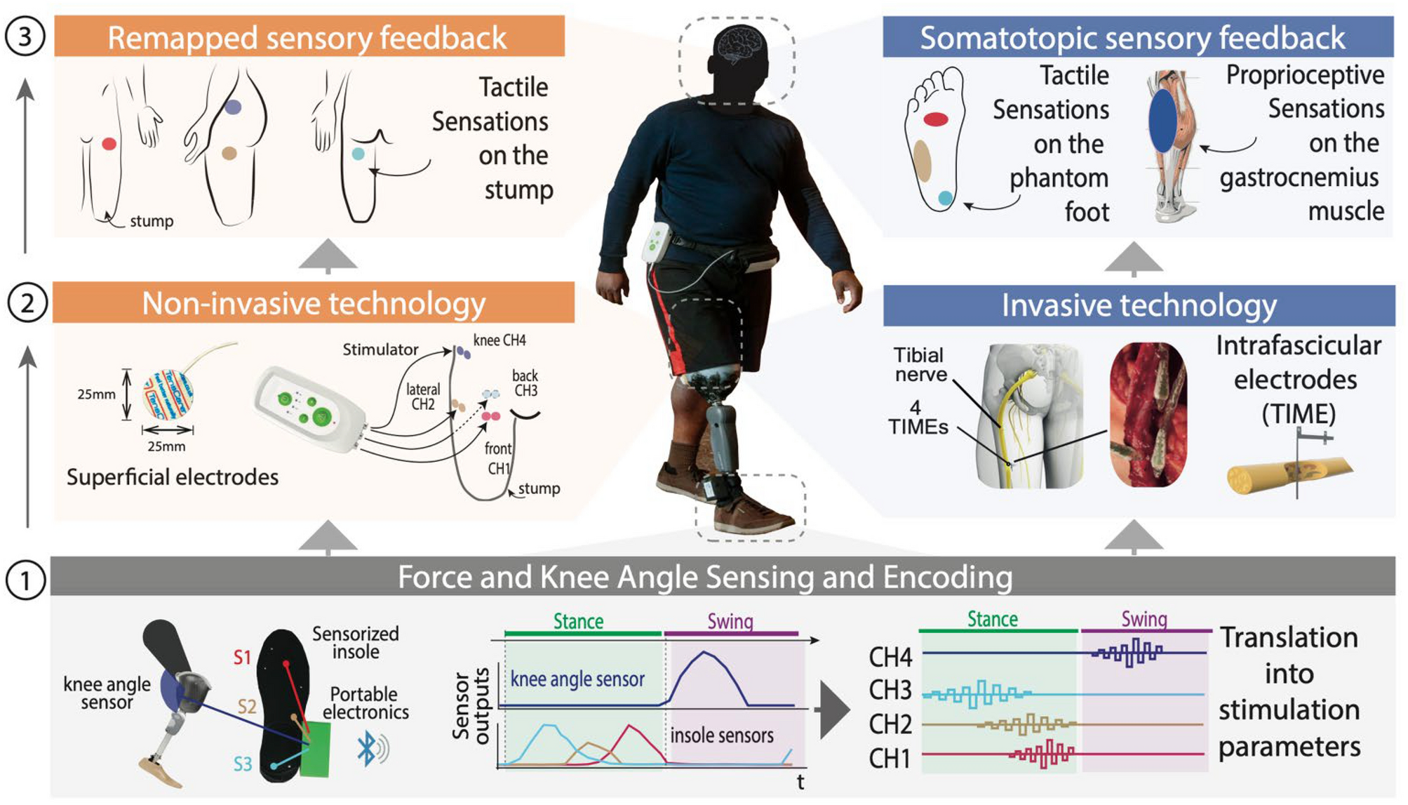 Double Check – Sensory Solutions