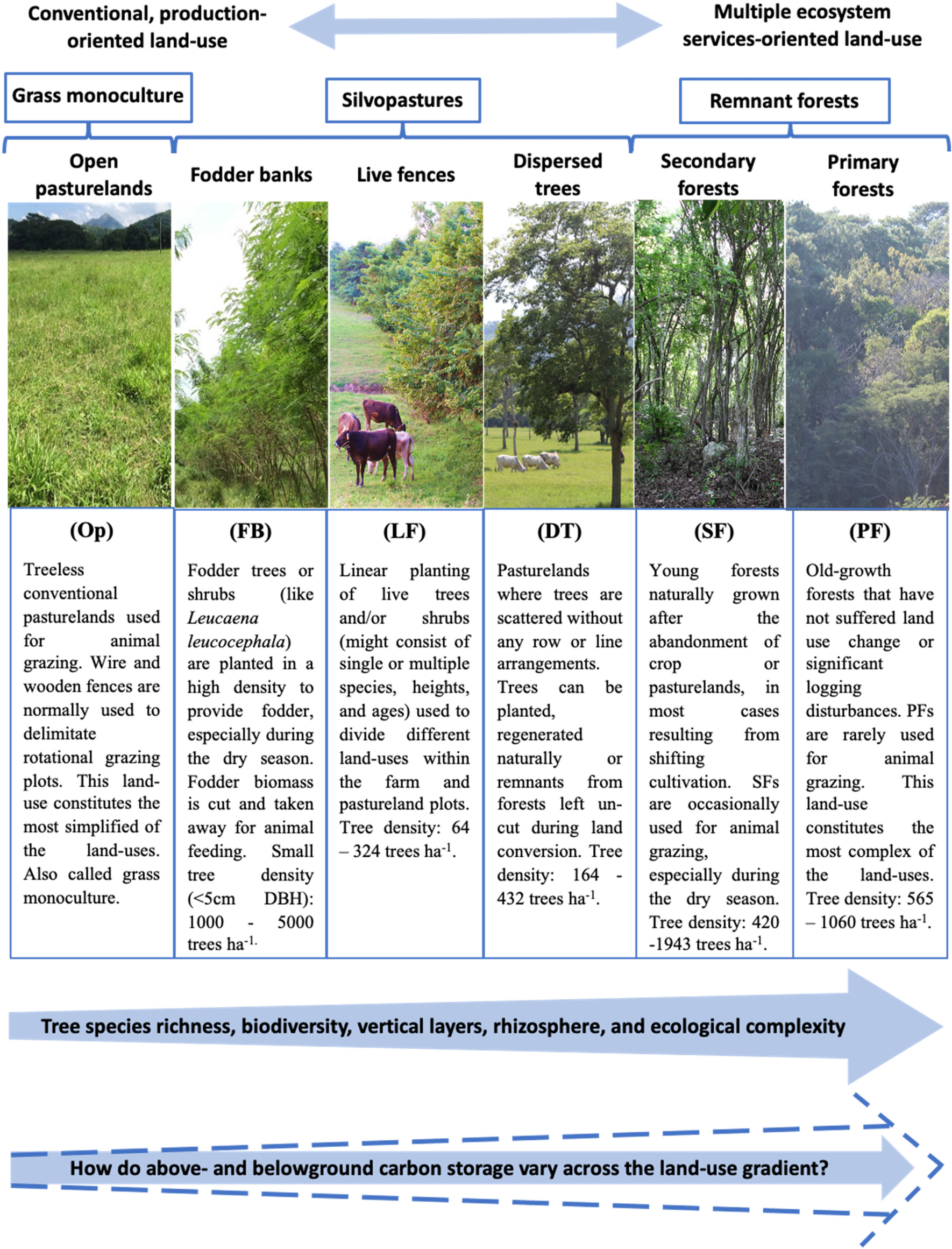 Silvopastoral systems and remnant forests enhance carbon storage in  livestock-dominated landscapes in Mexico | Scientific Reports