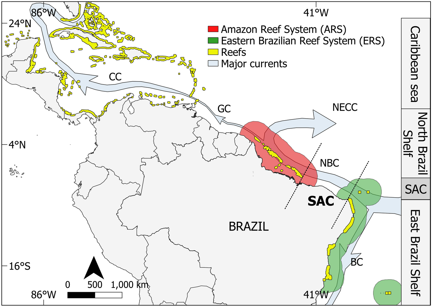 Interconnected marine habitats form a single continental-scale reef system  in South America | Scientific Reports