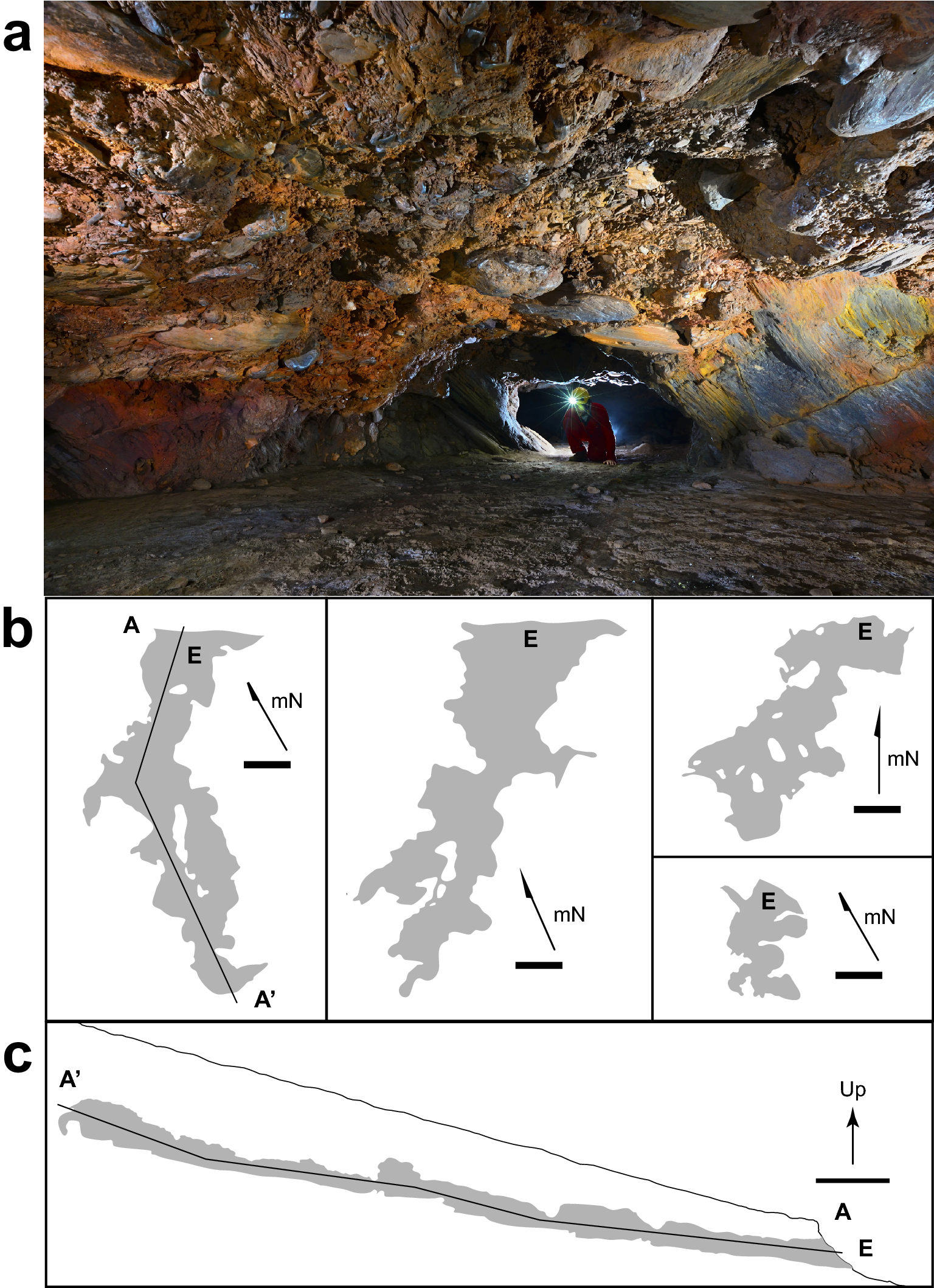 Enhanced terrestrial Fe(II) mobilization identified through a novel  mechanism of microbially driven cave formation in Fe(III)-rich rocks |  Scientific Reports