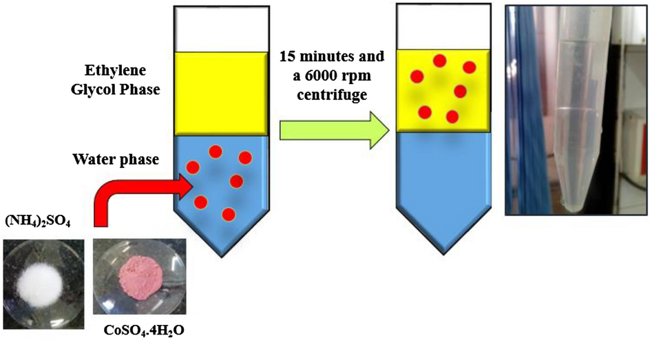 An efficiency strategy for cobalt recovery from simulated wastewater by  biphasic system with polyethylene glycol and ammonium sulfate | Scientific  Reports