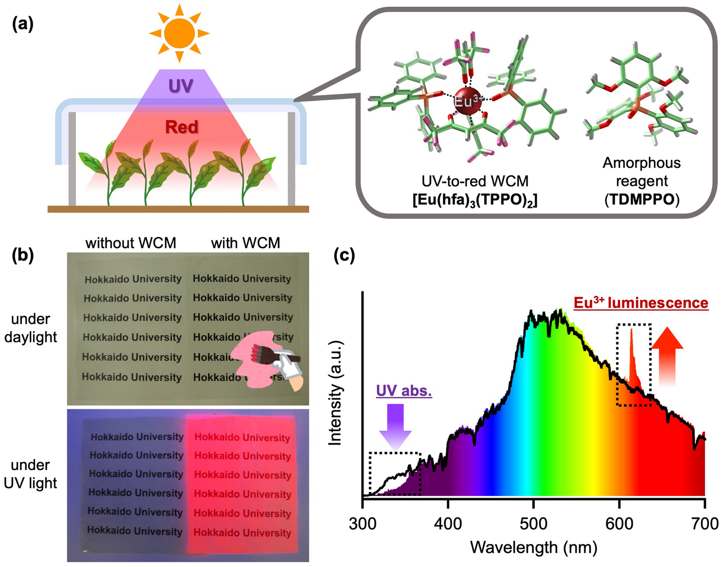 Plant growth acceleration using a transparent Eu3+-painted UV-to