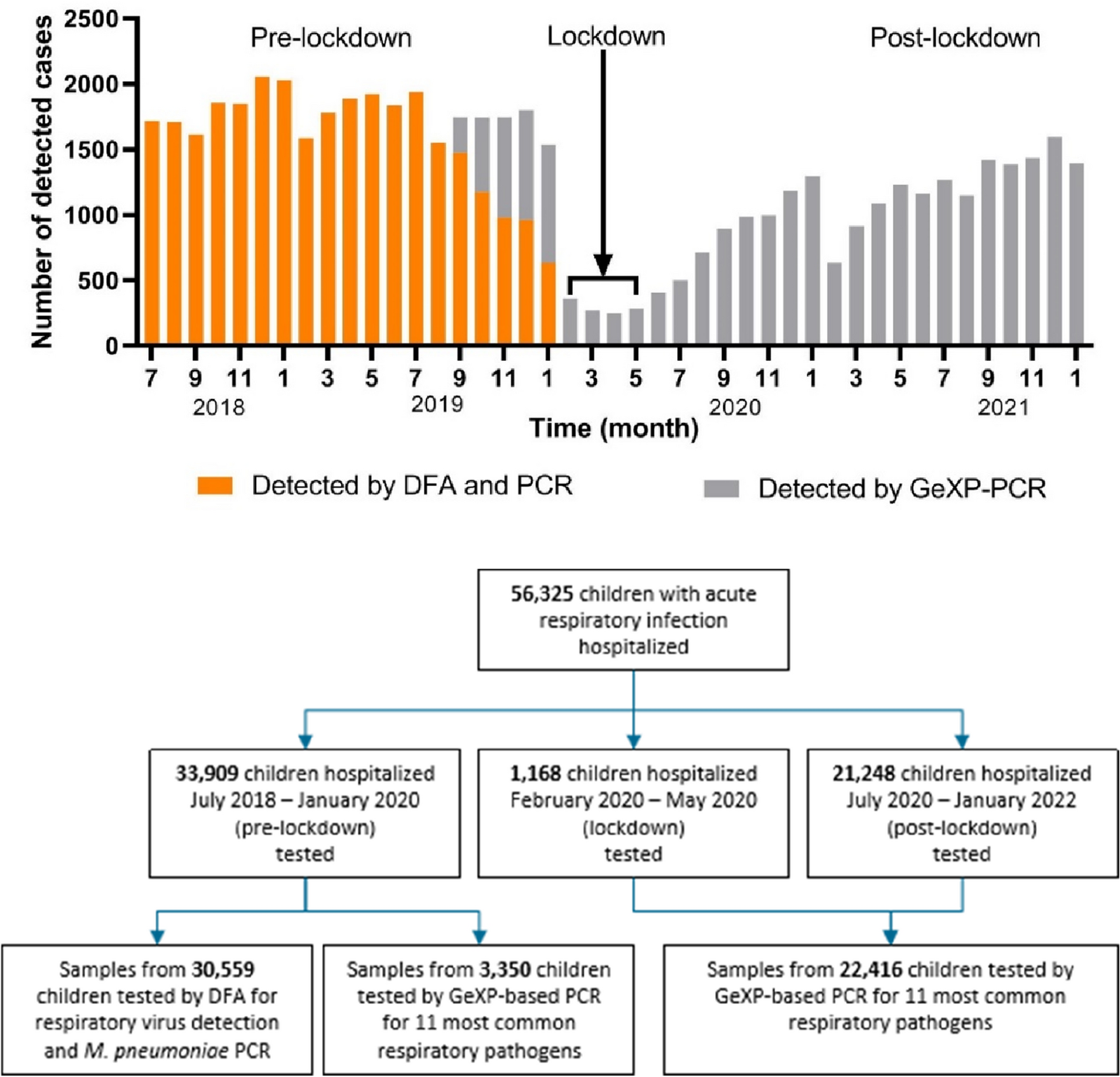 Lockdown Measures During The Covid 19 Pandemic Strongly Impacted The Circulation Of Respiratory Pathogens In Southern China Scientific Reports