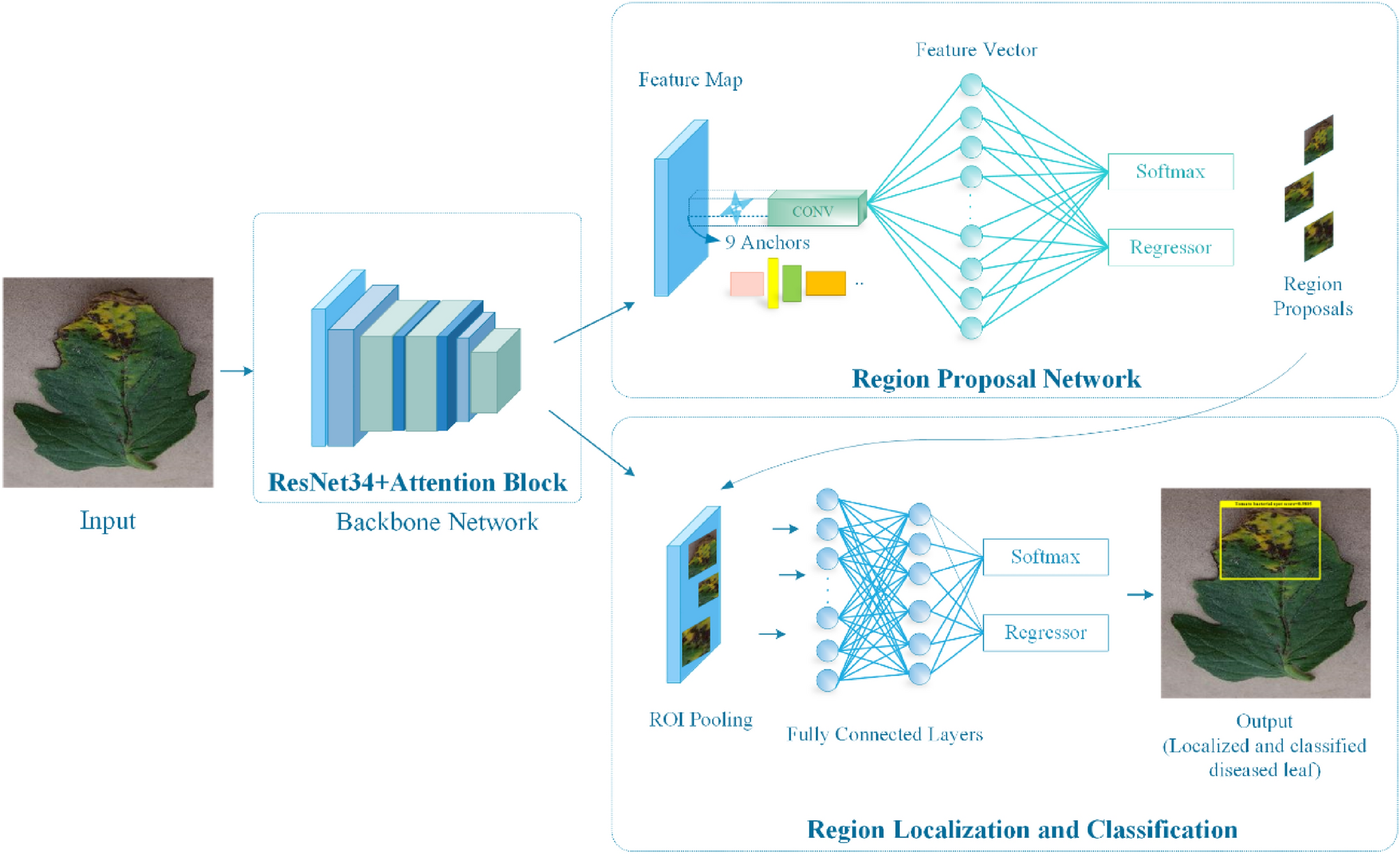 A robust deep learning approach for tomato plant leaf disease localization  and classification