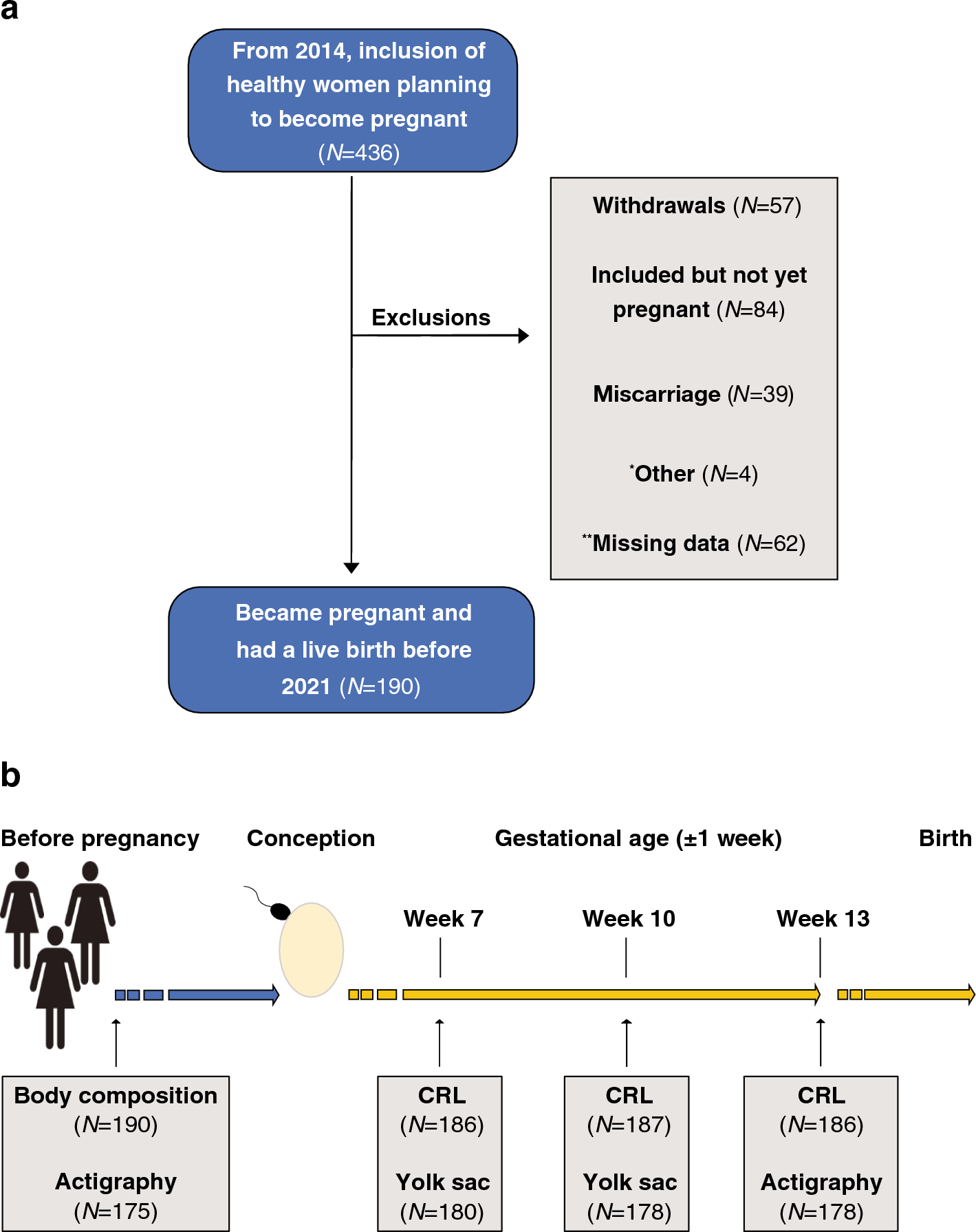 E&E Pregnancy Guide: First Trimester Sample — Expecting & Empowered