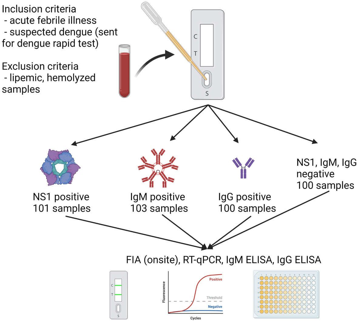 fda cleared immunoassay semaglutide detection immunoassay A performance comparison between fluorescent immunoassay and  immunochromatography for rapid dengue detection in clinical specimens