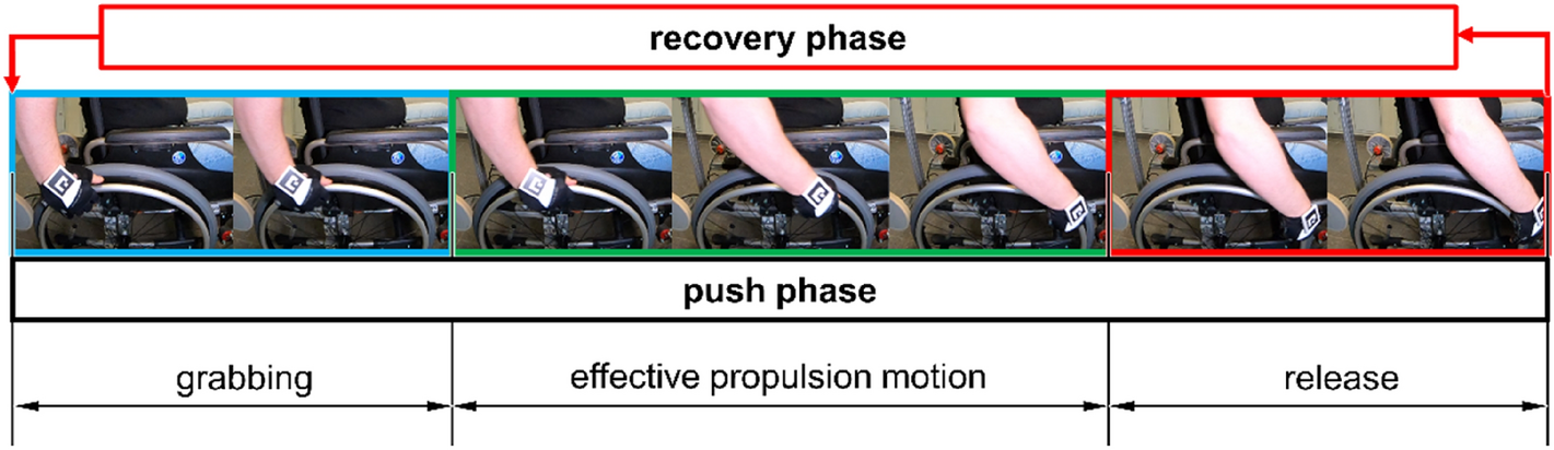 Evaluation of anti-rollback systems in manual wheelchairs: muscular  activity and upper limb kinematics during propulsion | Scientific Reports