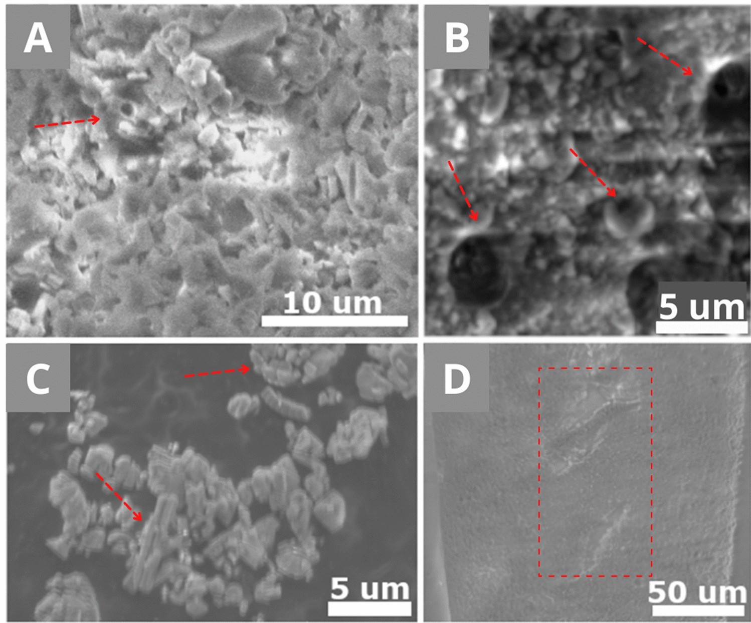 https://media.springernature.com/full/springer-static/image/art%3A10.1038%2Fs41598-022-21882-1/MediaObjects/41598_2022_21882_Fig1_HTML.jpg