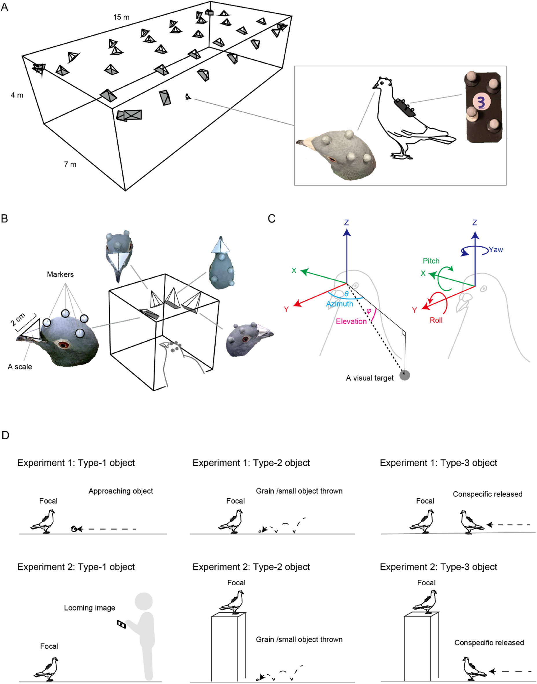 Head-tracking of freely-behaving pigeons in a motion-capture system reveals  the selective use of visual field regions | Scientific Reports