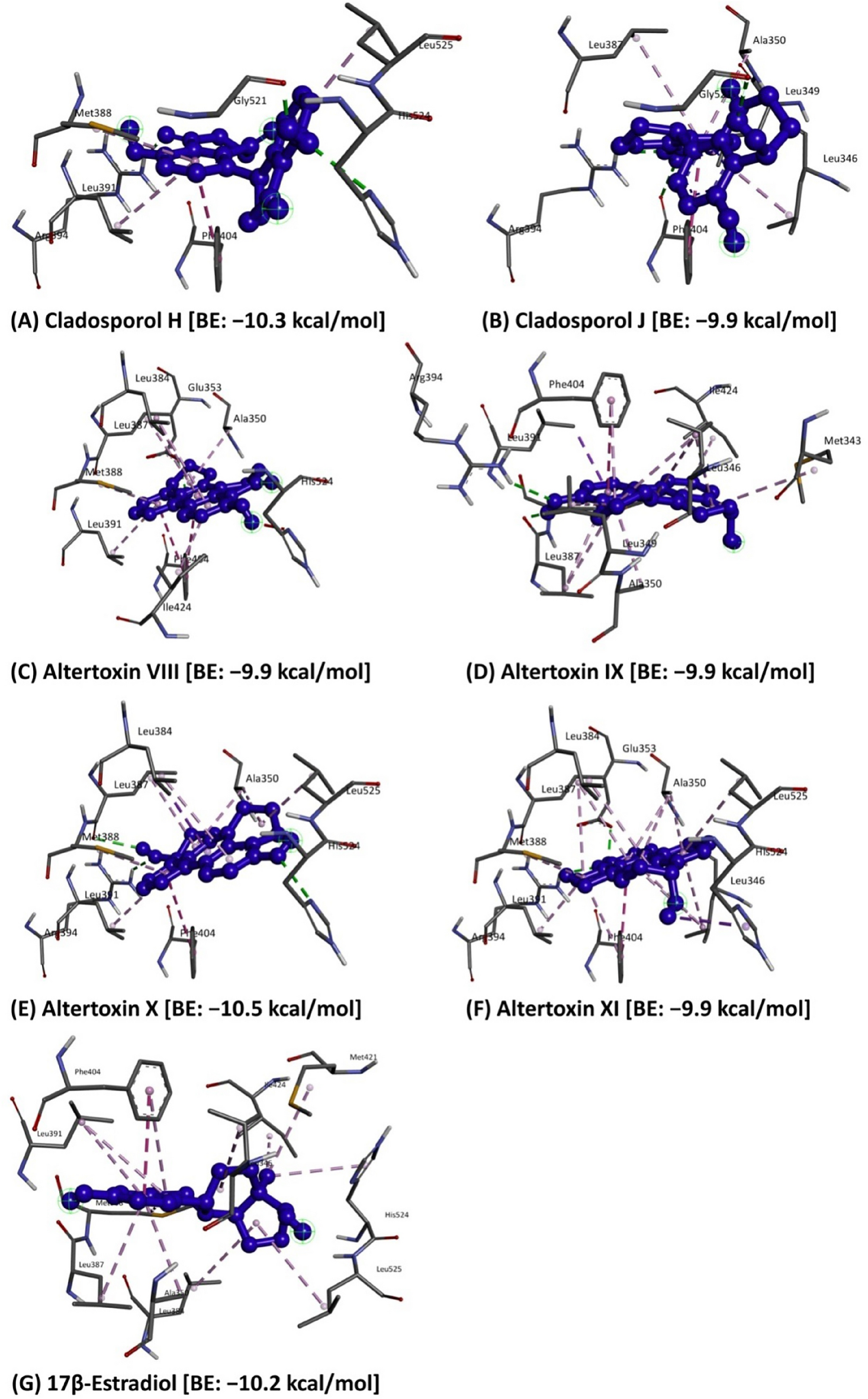 Integrated approach for studying bioactive compounds from Cladosporium spp.  against estrogen receptor alpha as breast cancer drug target | Scientific  Reports