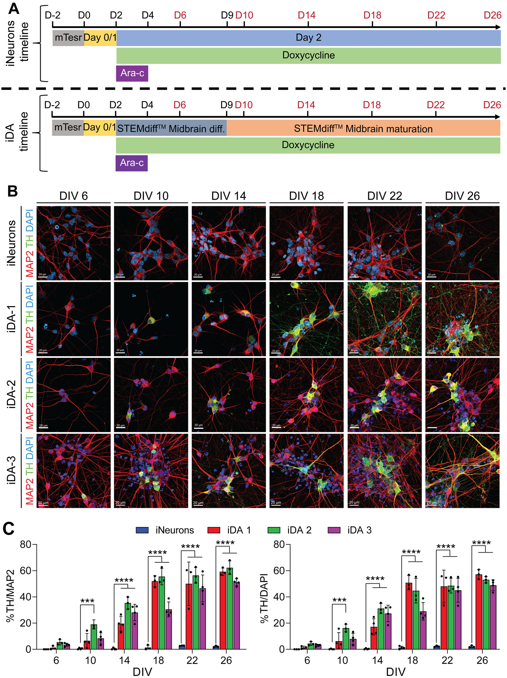 EFFECT OF EMP ON HUMAN NEURAL NETWORK – PM