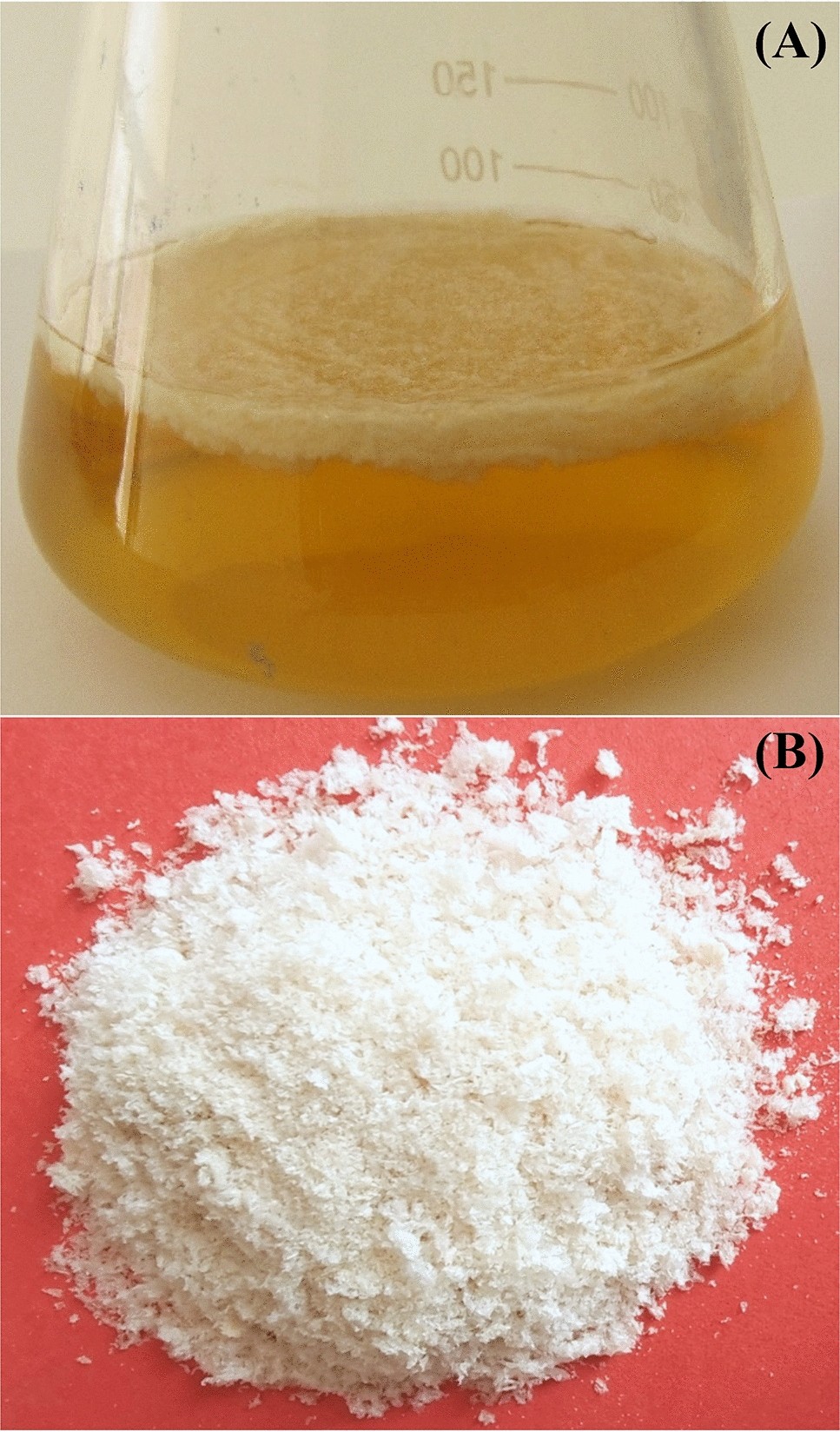 Exploration of a novel and efficient source for production of bacterial  nanocellulose, bioprocess optimization and characterization | Scientific  Reports