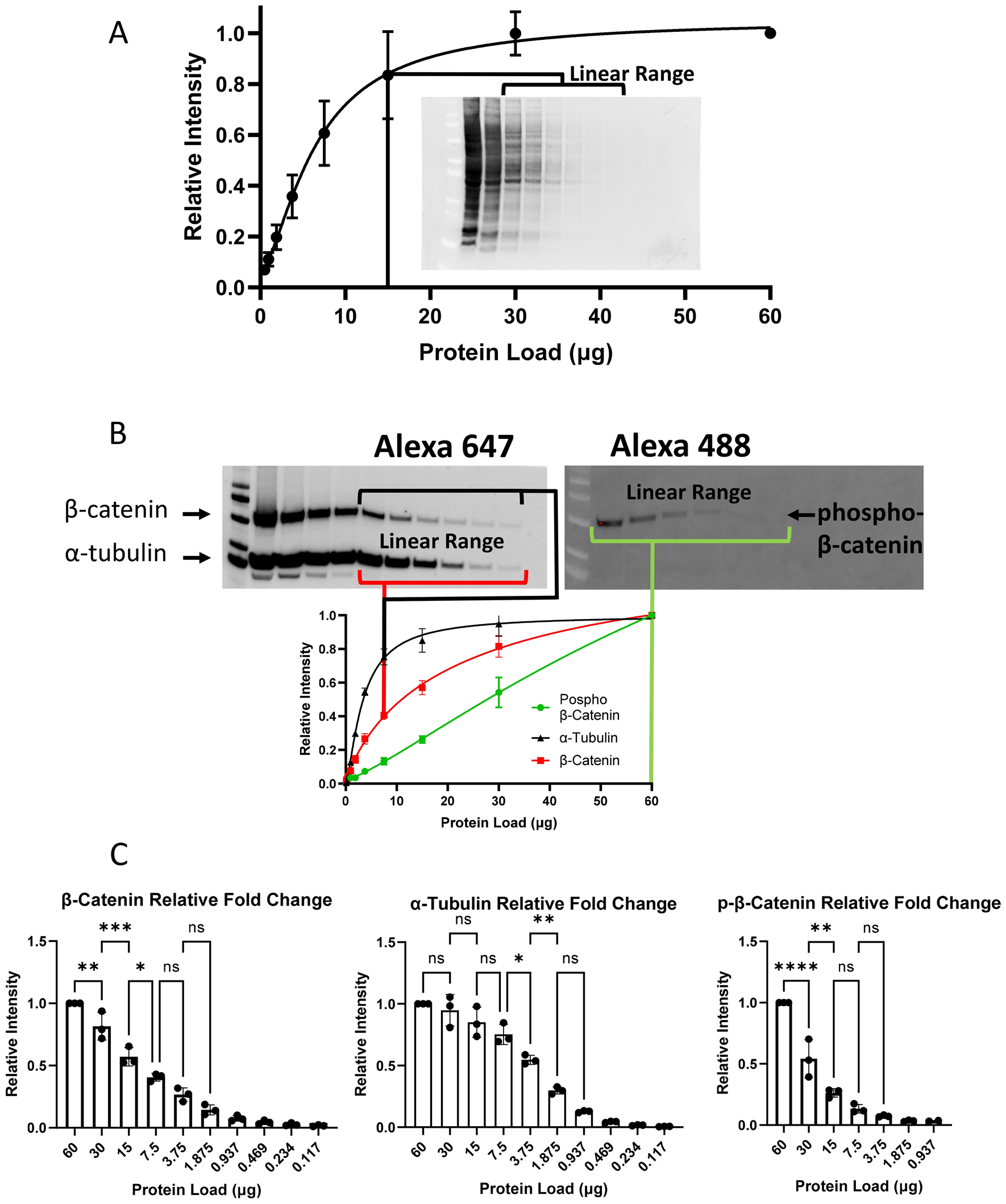 Mean change in levels of serum proteins, including total protein