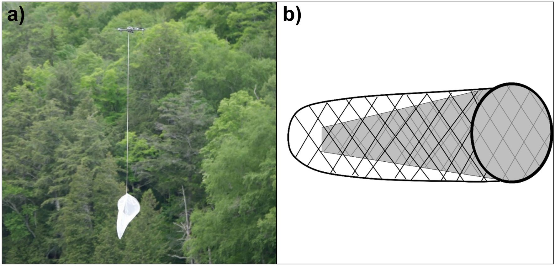 Optimal settings and advantages of drones as a tool for canopy arthropod  collection