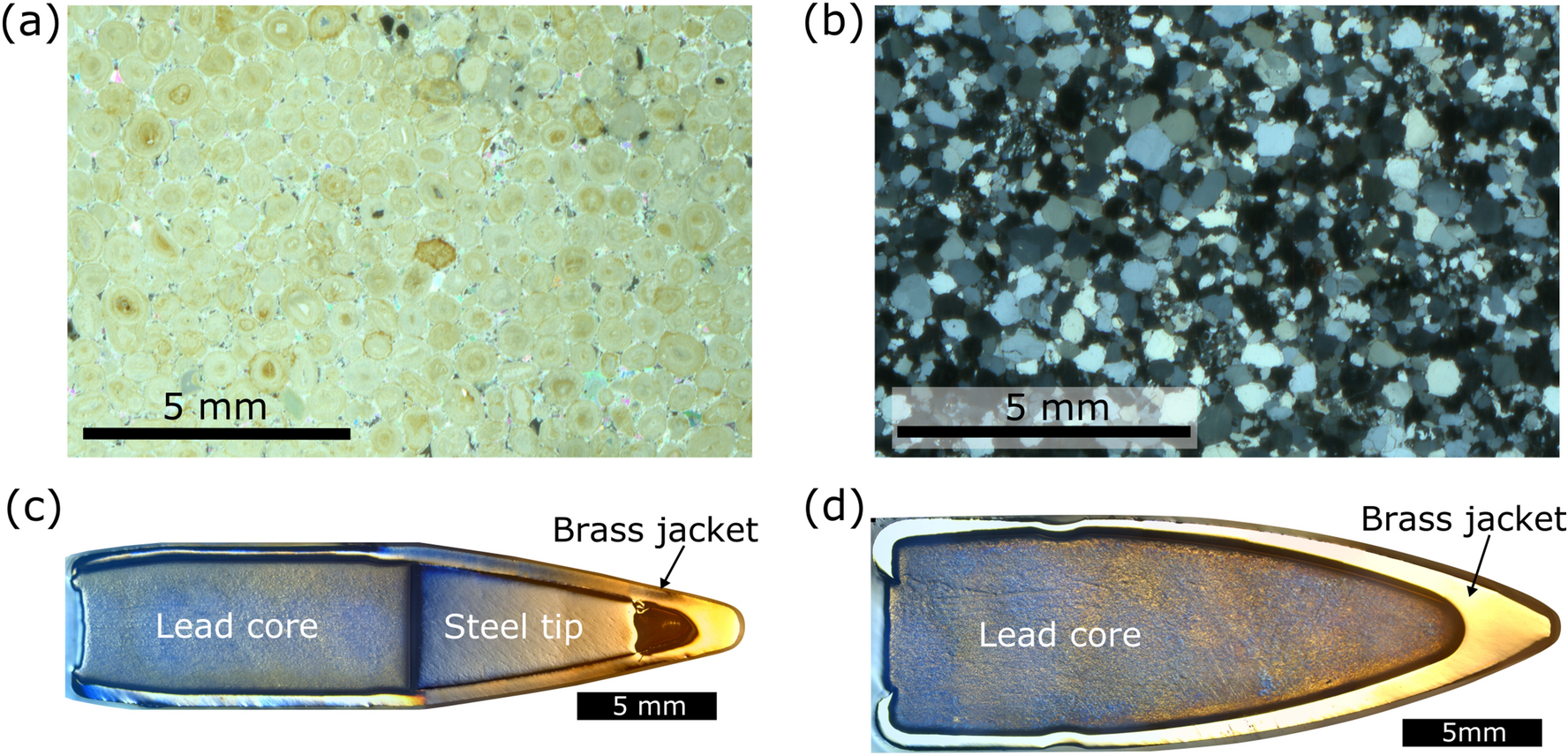 Bullet impacts in building stone excavate approximately conical craters,  with dimensions that are controlled by target material | Scientific Reports