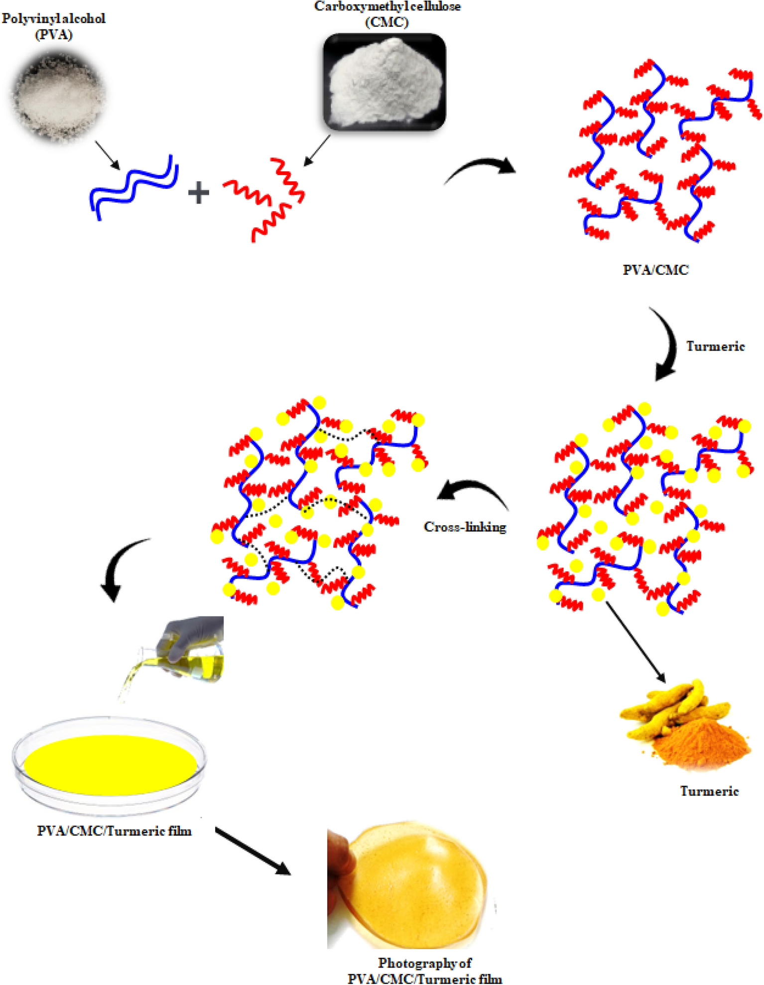 Magnetic Nanocomposites Containing Low and Medium-Molecular Weight Chitosan  for Dye Adsorption: Hydrophilic Property Versus Functional Groups