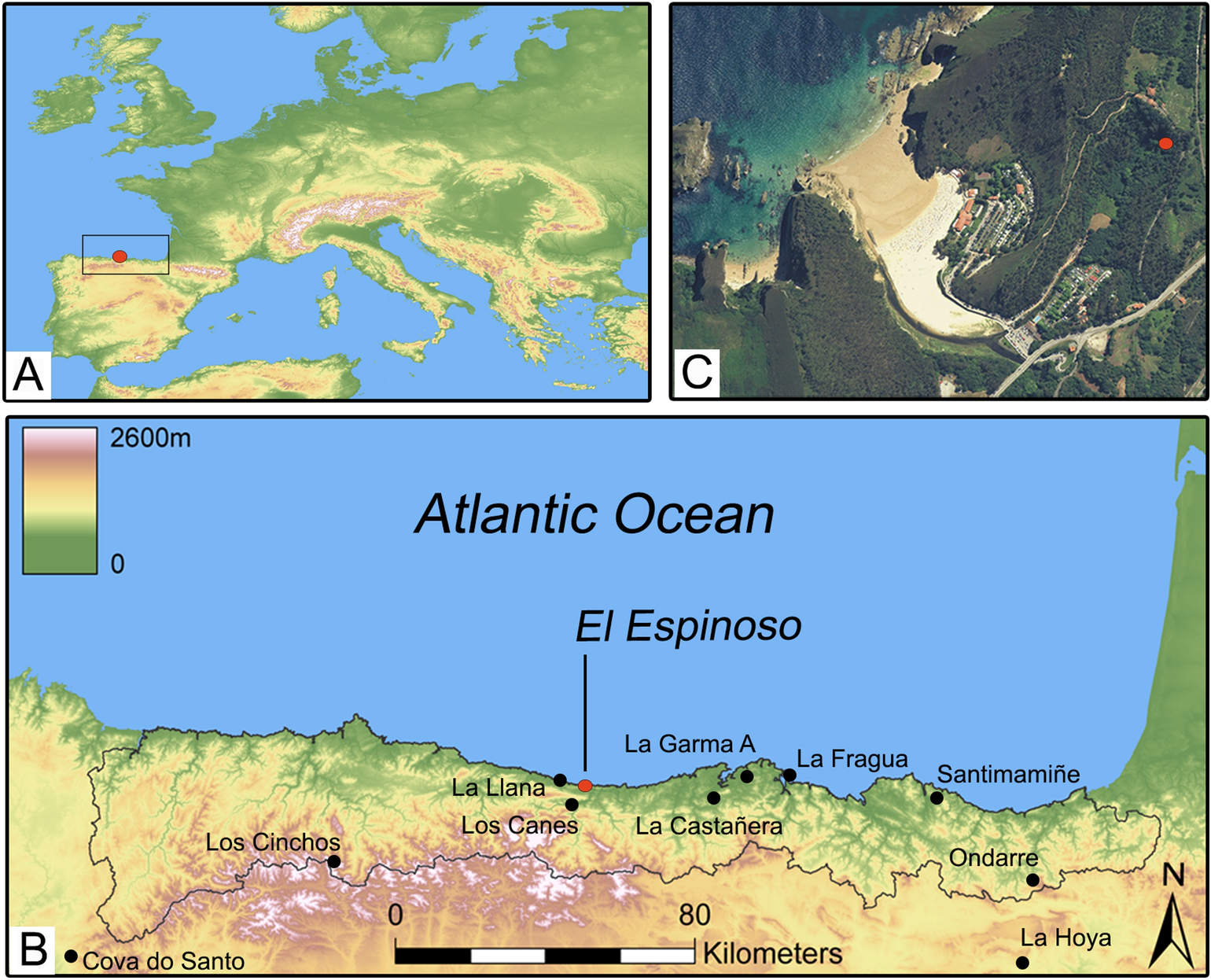The arrival of millets to the Atlantic coast of northern Iberia |  Scientific Reports