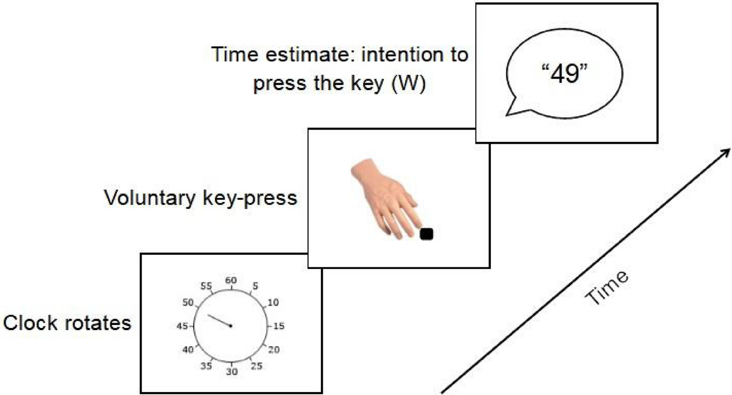 Manipulations of Libet clock parameters affect intention timing awareness |  Scientific Reports