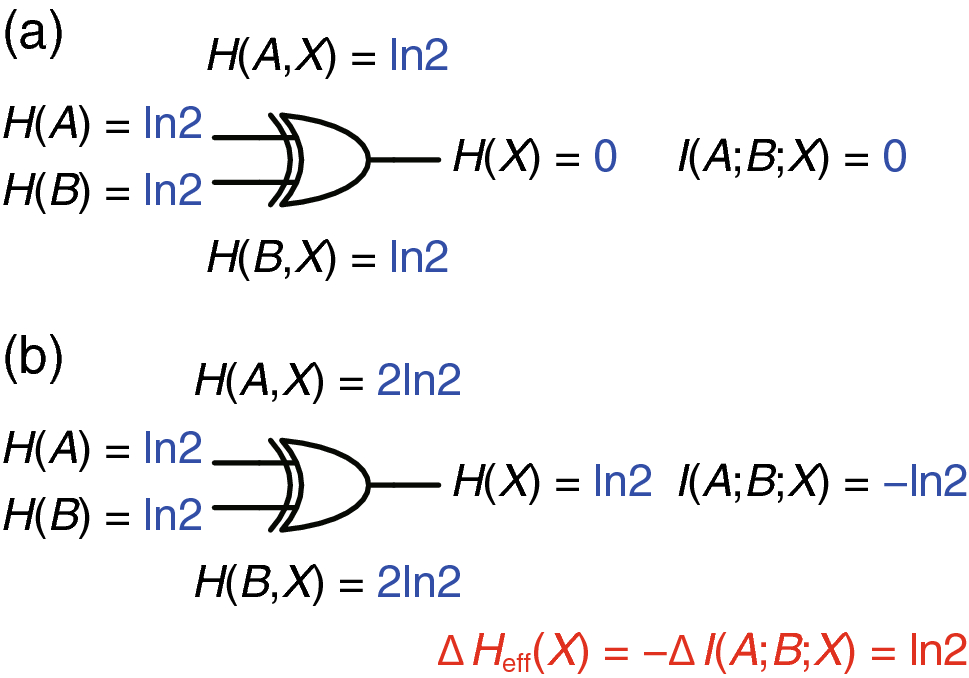 Scalable true random number generator using adiabatic superconductor logic  | Scientific Reports