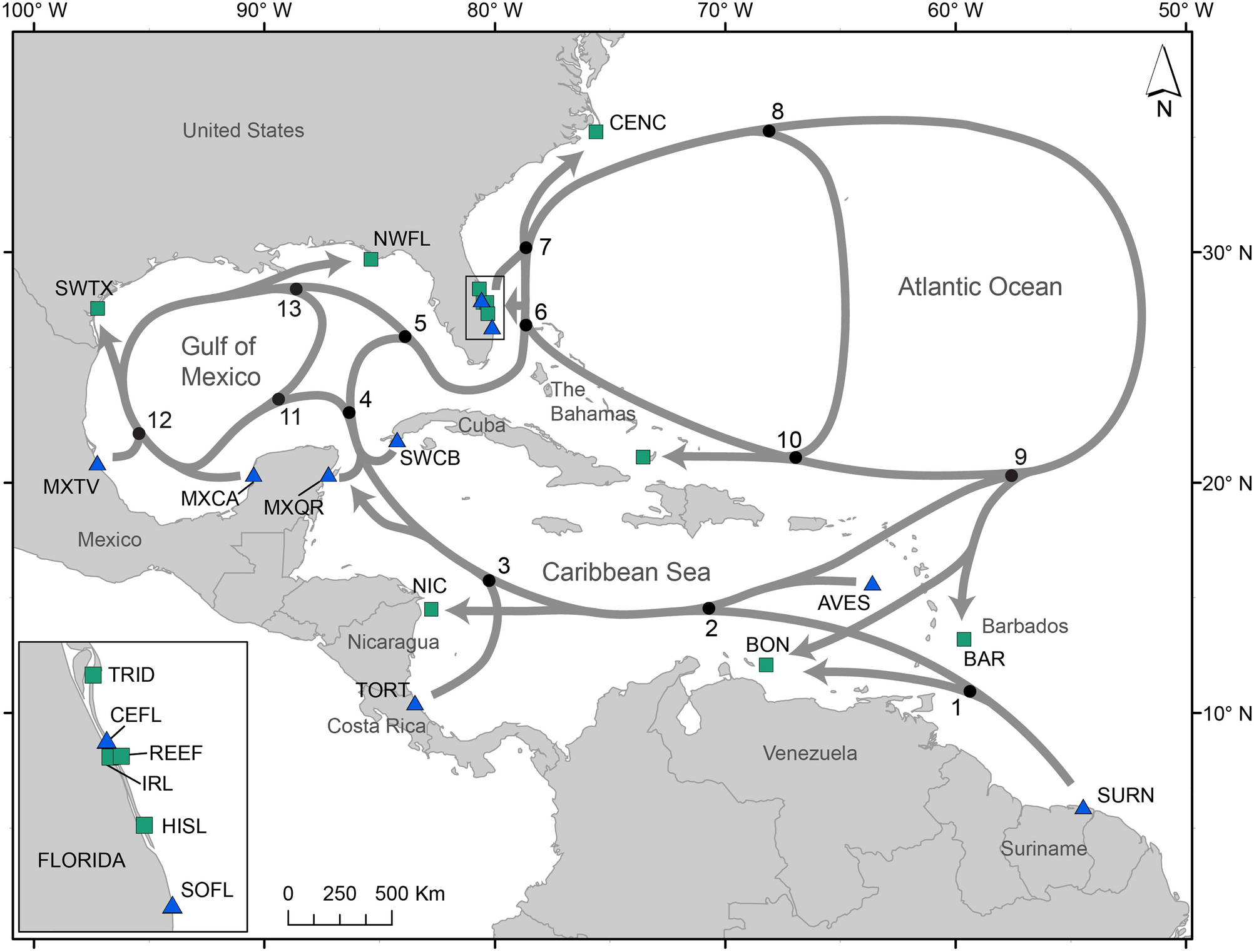 Incorporating Distance Metrics And Temporal Trends To Refine Mixed Stock Analysis Scientific Reports